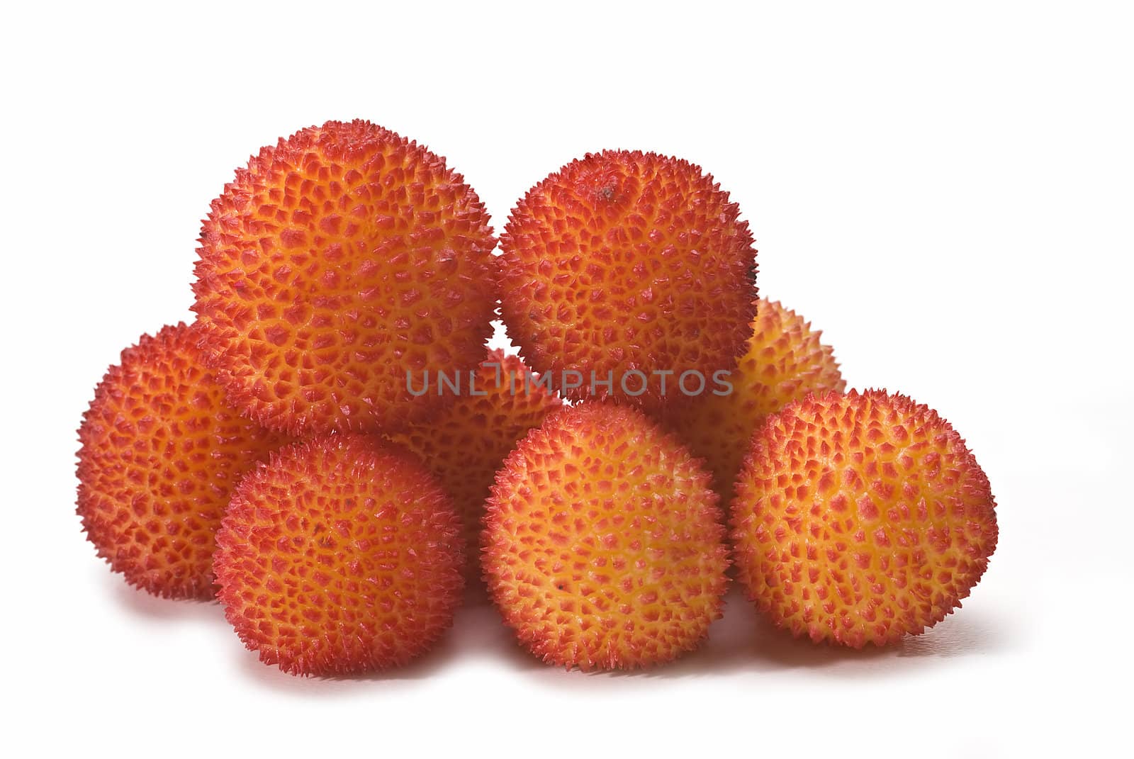 Some fruits of Arbutus unedo with leaves and flowers isolated on a white background.