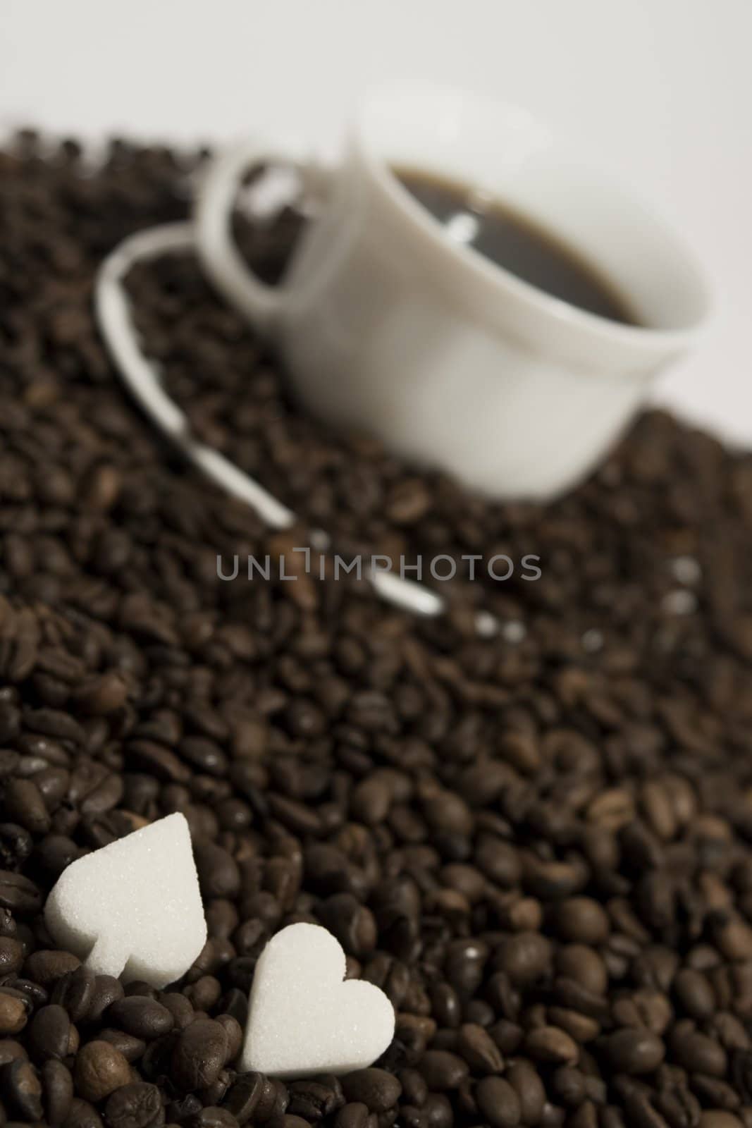 Cup of fresh coffee on white background