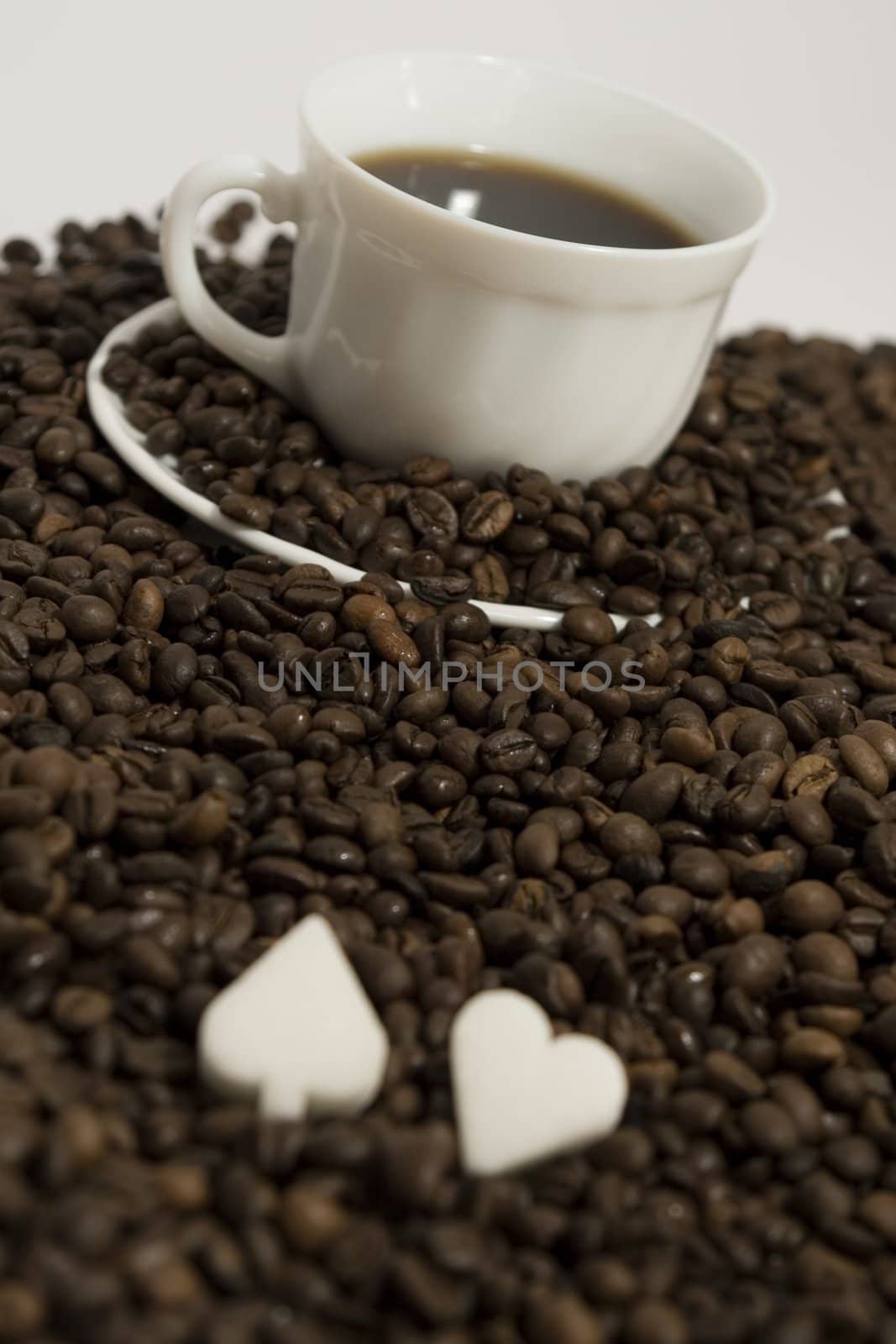 Cup of fresh coffee on white background