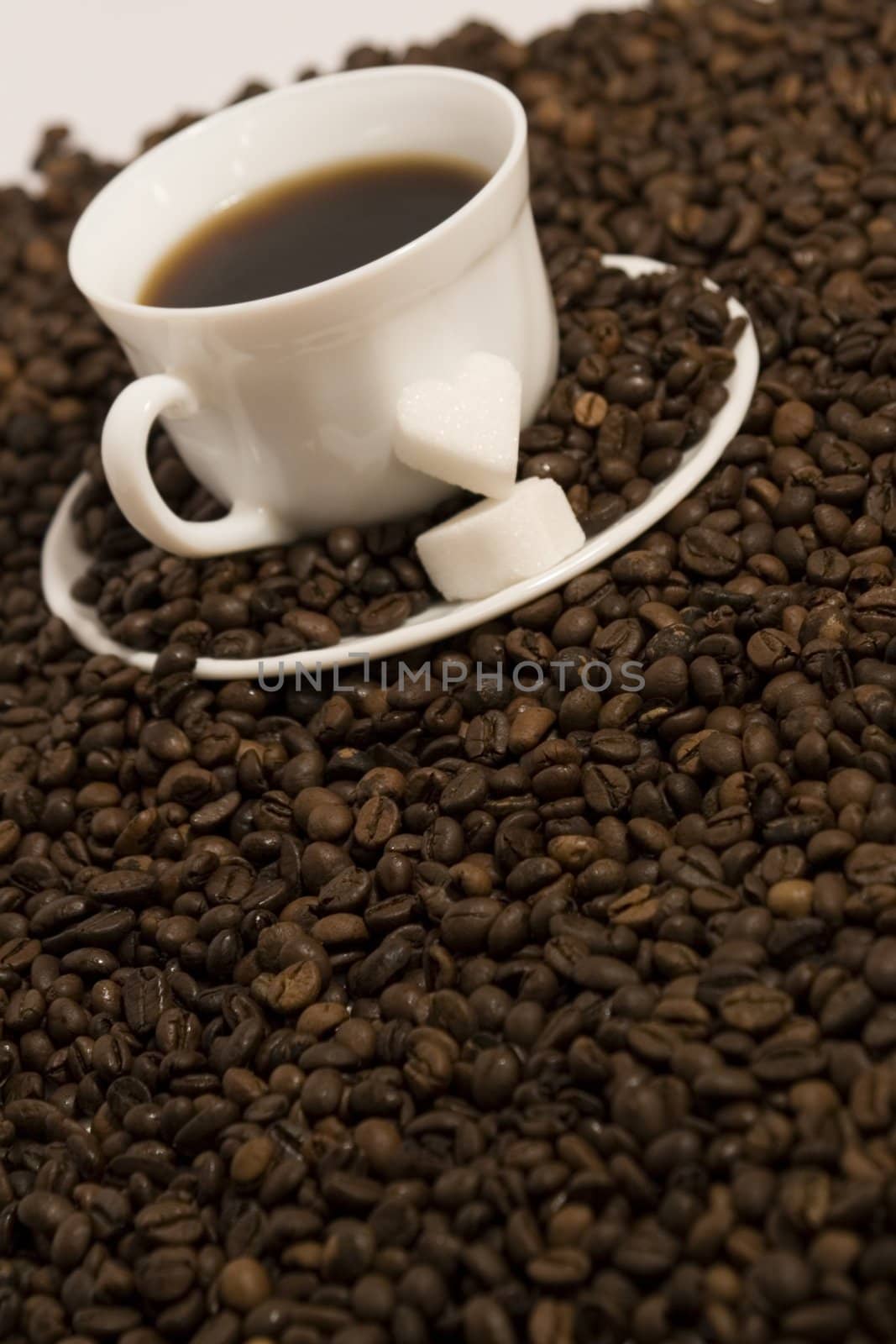 Cup of fresh coffee on white background