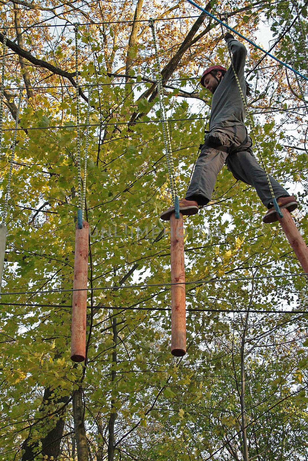 tree climbing