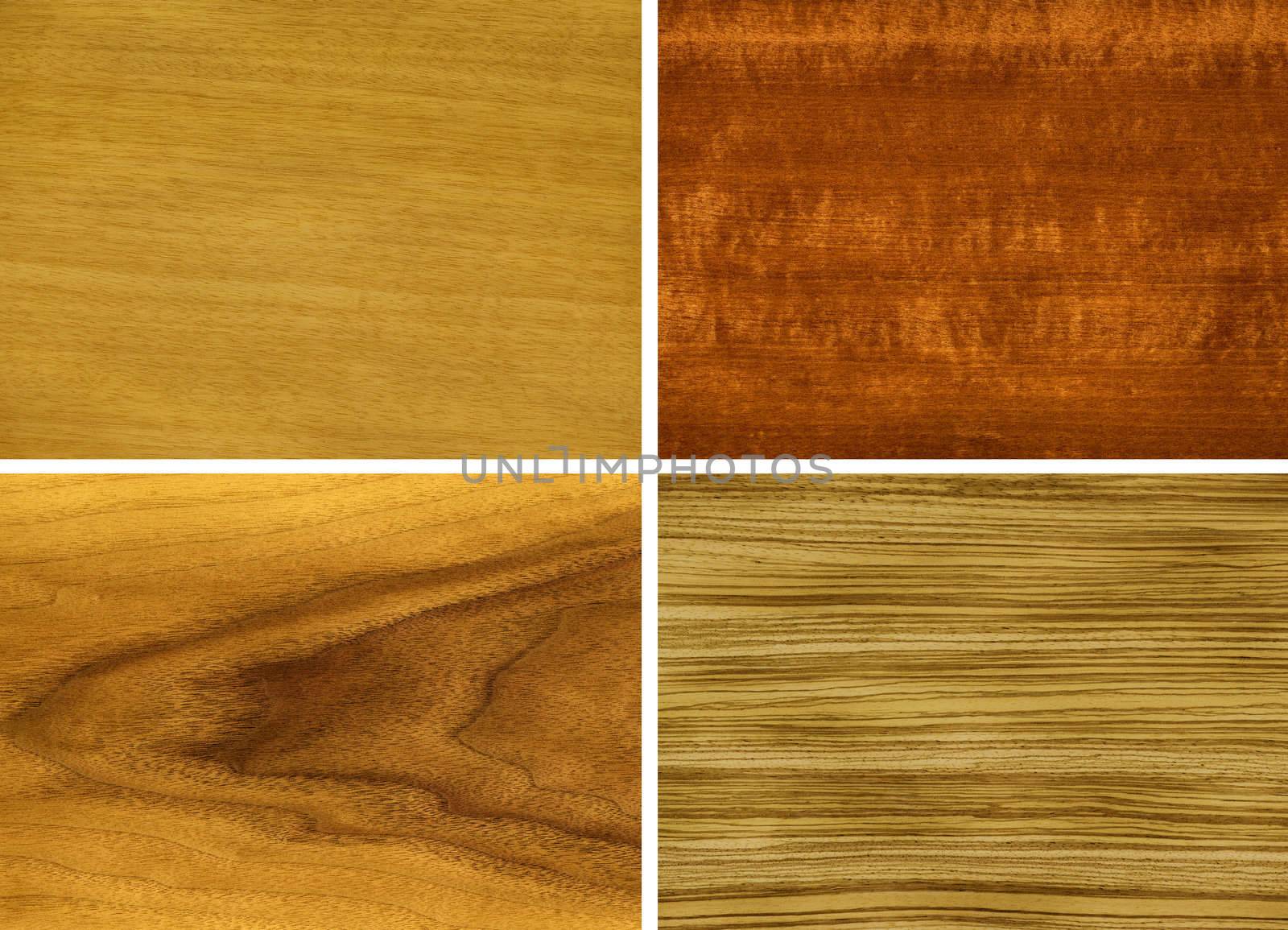 Wood, veneer: anegri, makore, teak, zebrano by alexcoolok