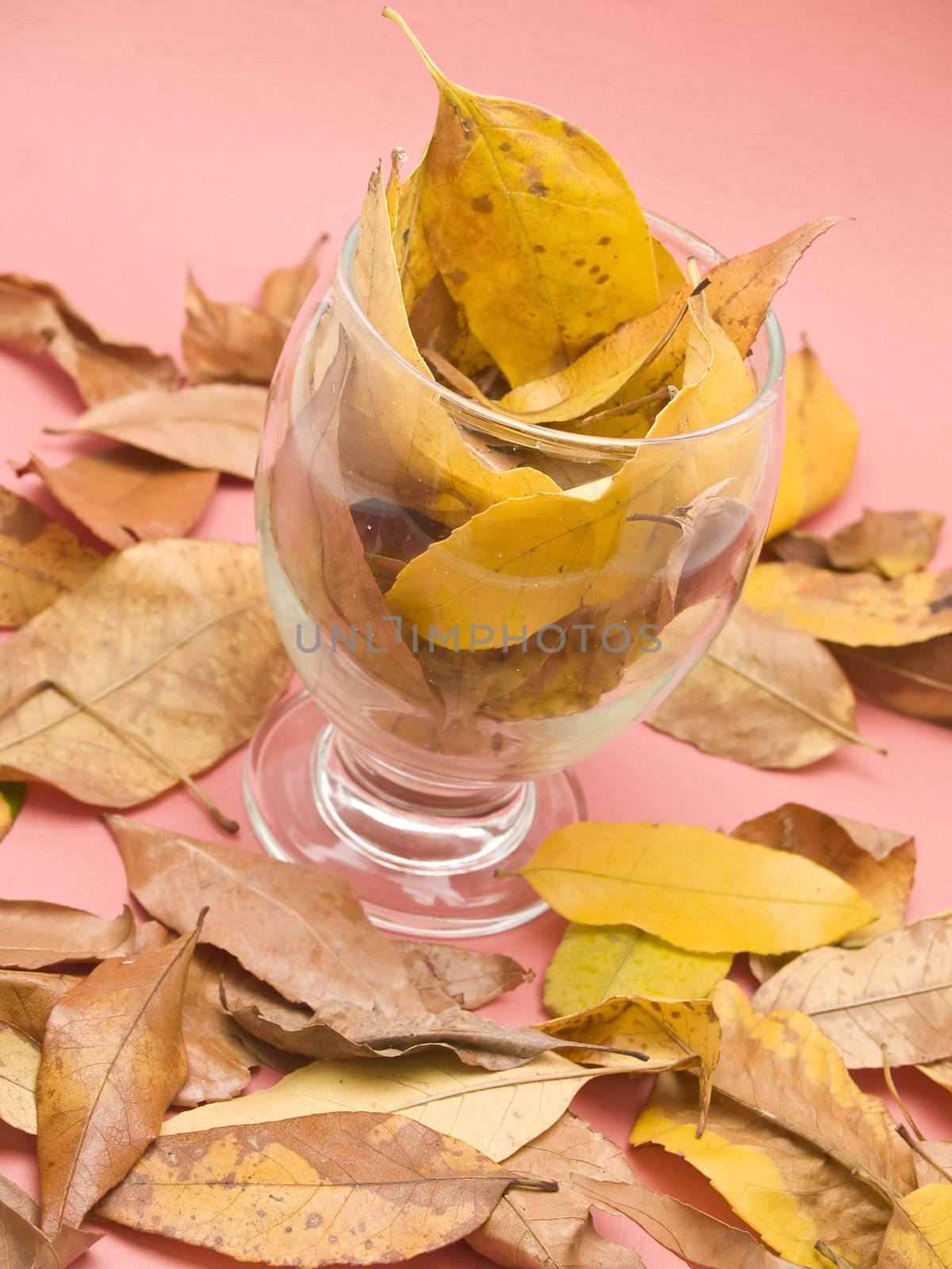 glass with dry leaves by lauria