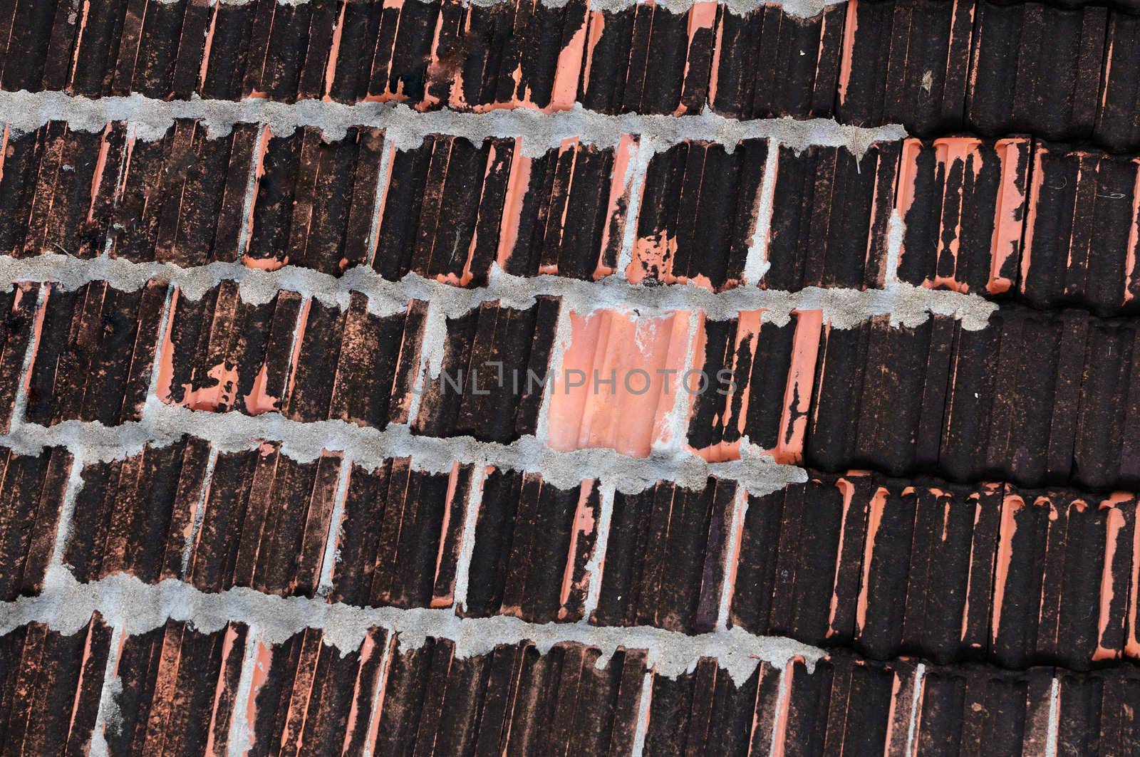 Detailed roof patterns in a old fashioned house