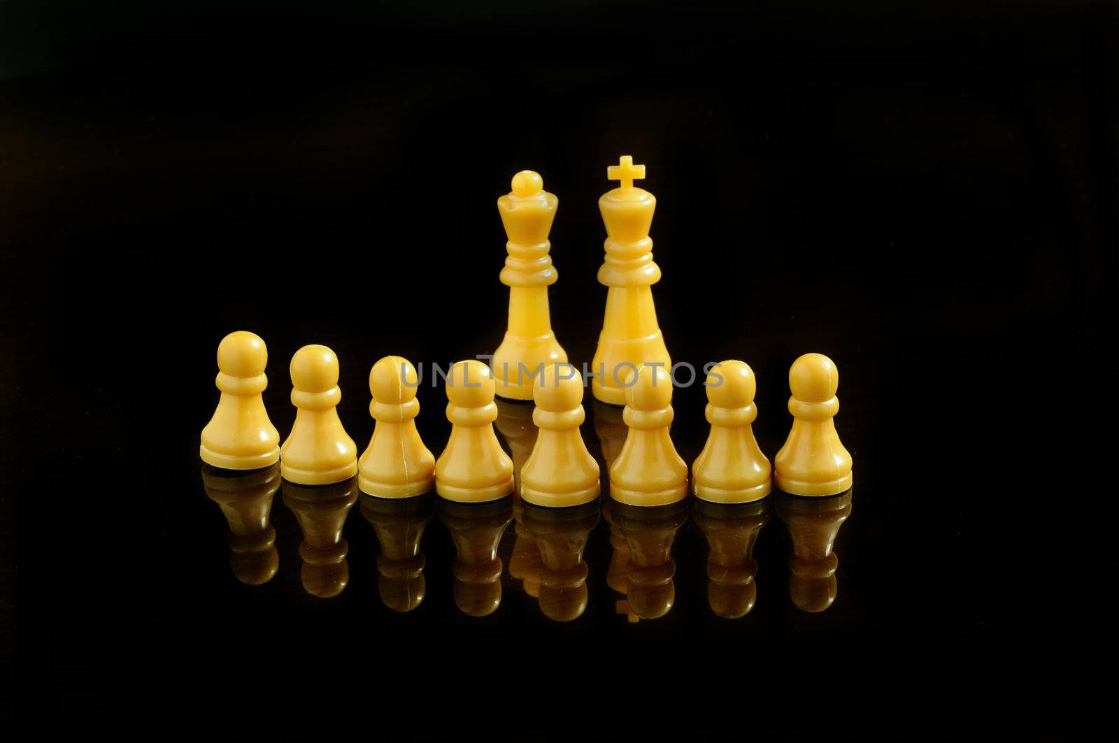 King and queen protected by their faithful soilders