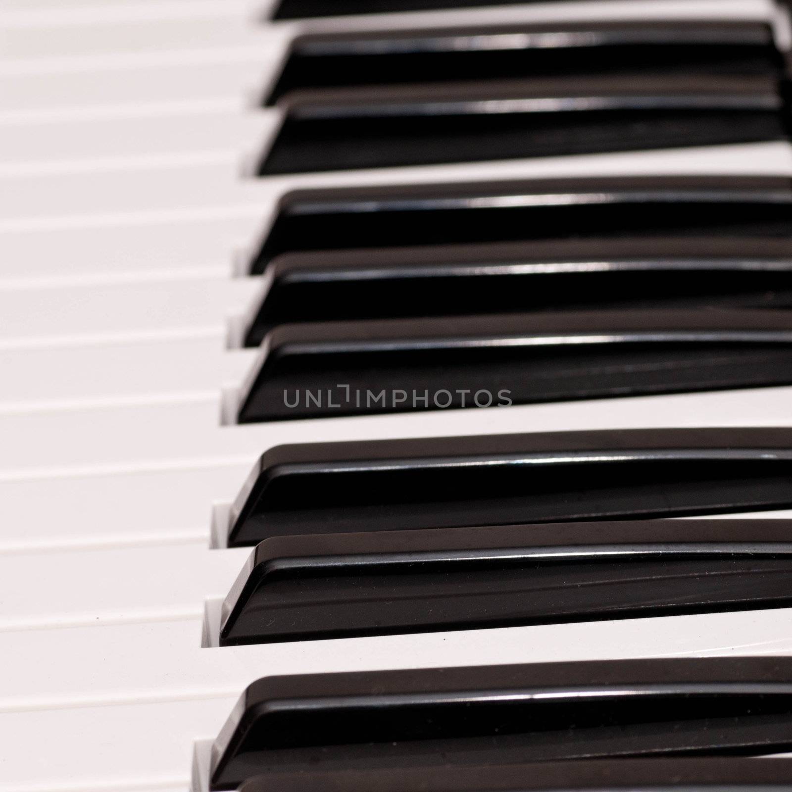 Piano Keys by pazham