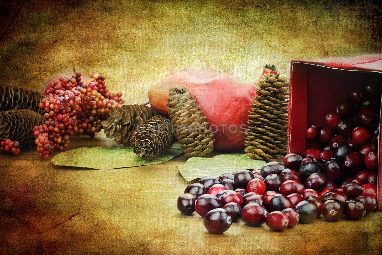 Photo based illustration of a red Christmas box spilling out fresh cranberries with pine cones an pomegranates in the background.