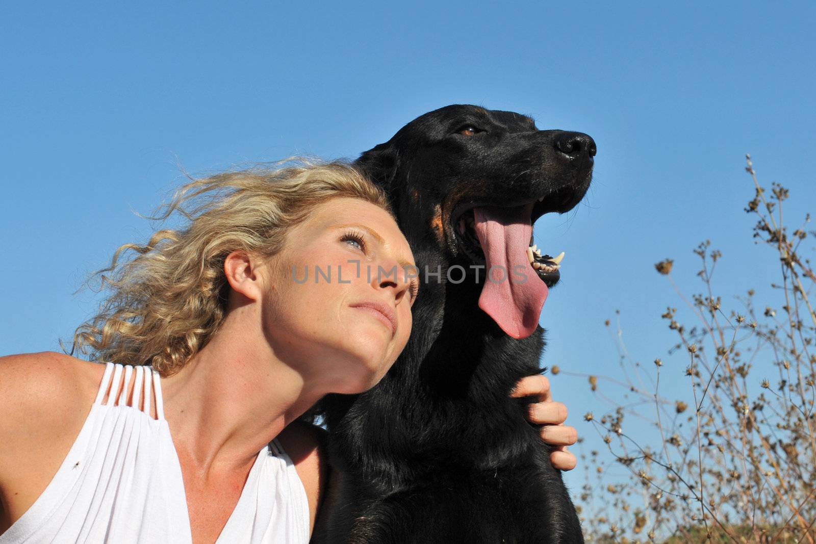 beautiful woman and french shepherd in a blue sky