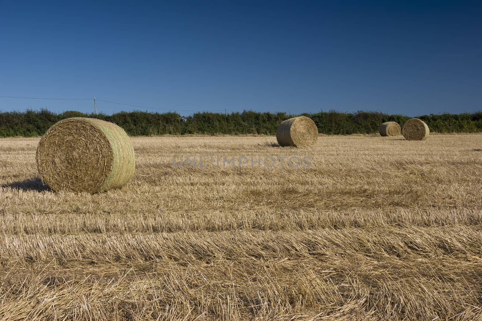 Hay bales on a farm in Cornwall England