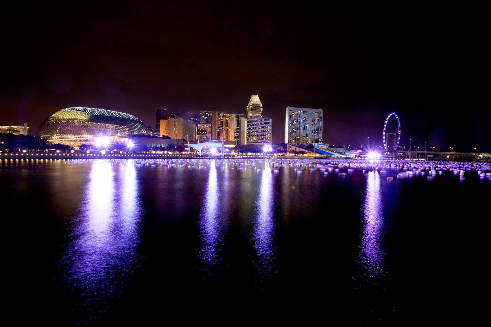 A view of singapore at night 