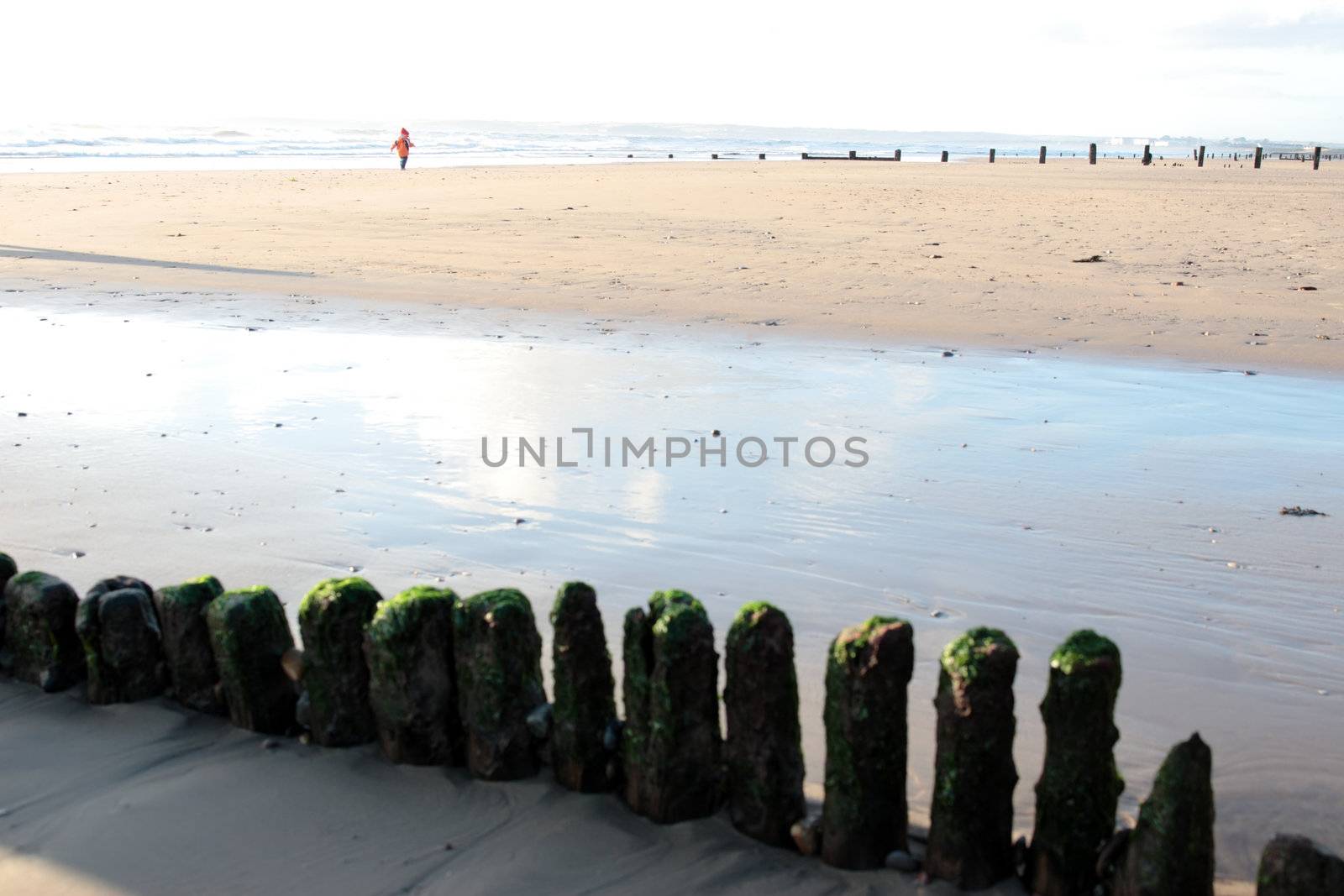 child running in the sandy beach alone but happy