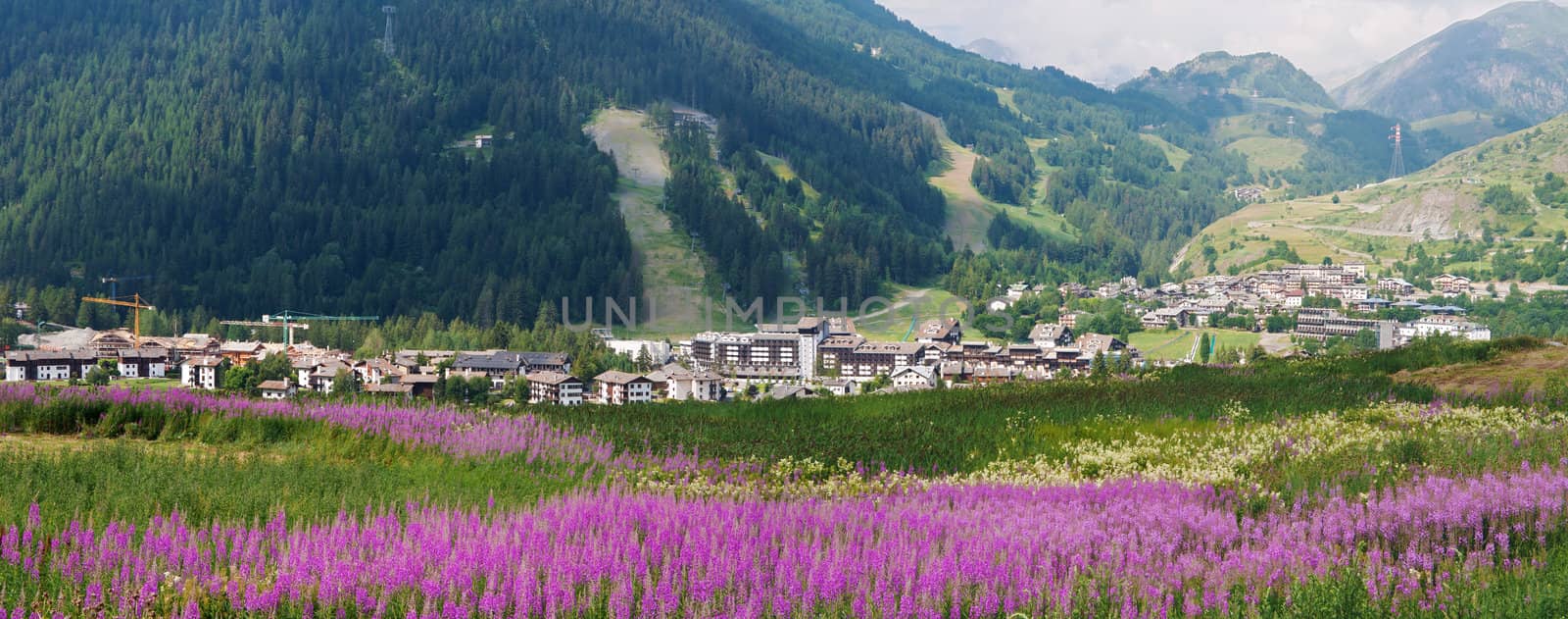 panoramicr view of La Thule on summer, small town in Aosta valley, Italy