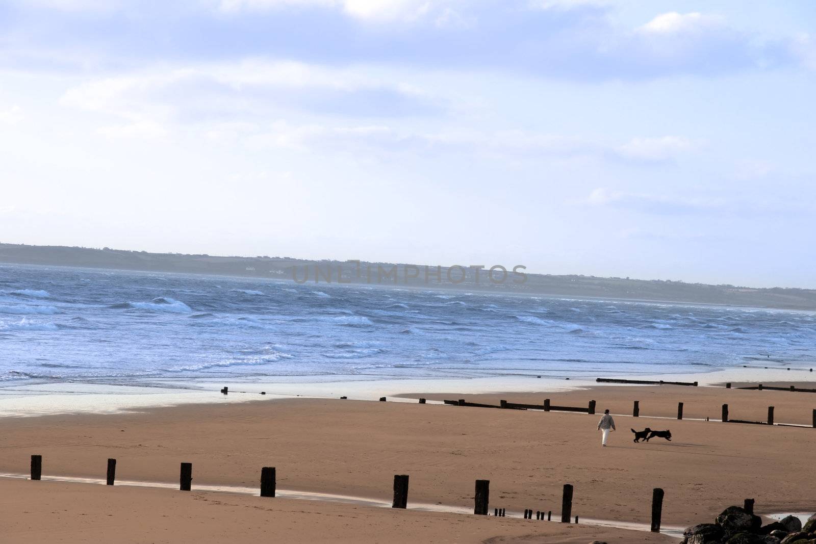 a walk with dogs on the irish coast