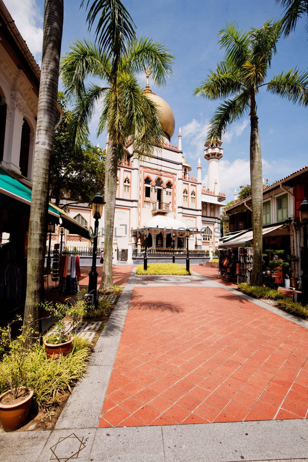 Sultan Mosque by leaf