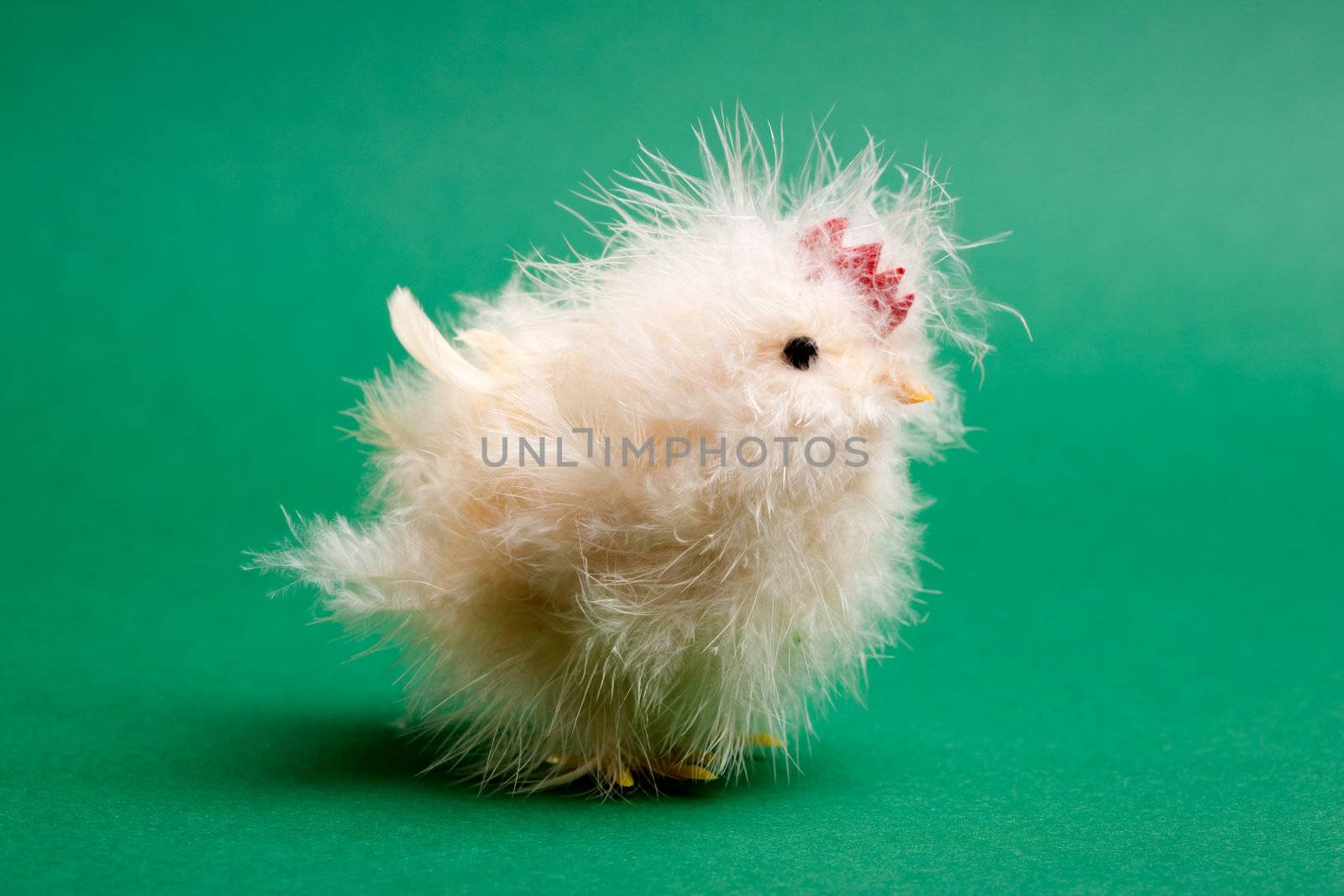 A little yellow chick easter decoration isolated on green
