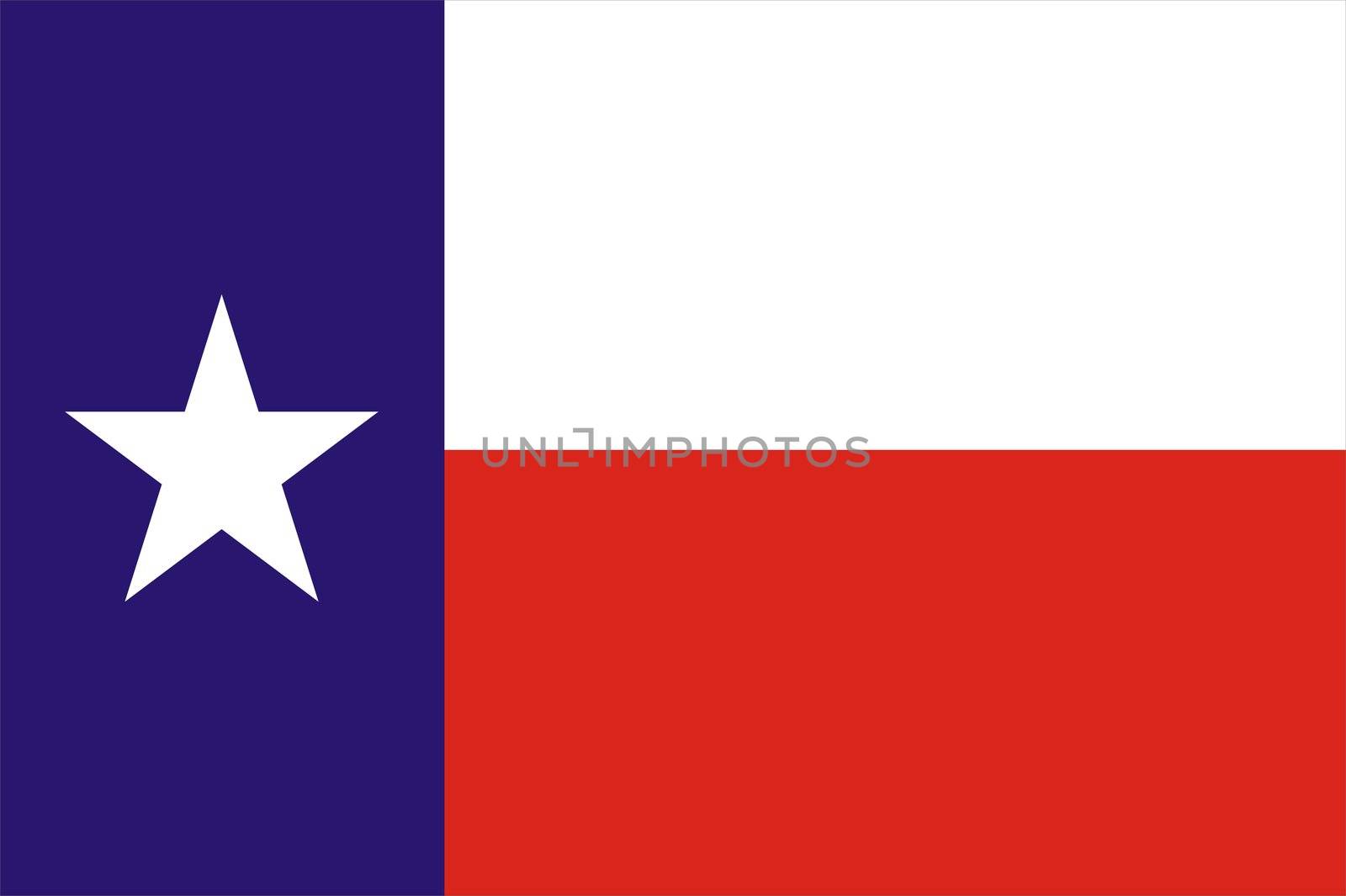 2D illustration of Texas flag american state vector
