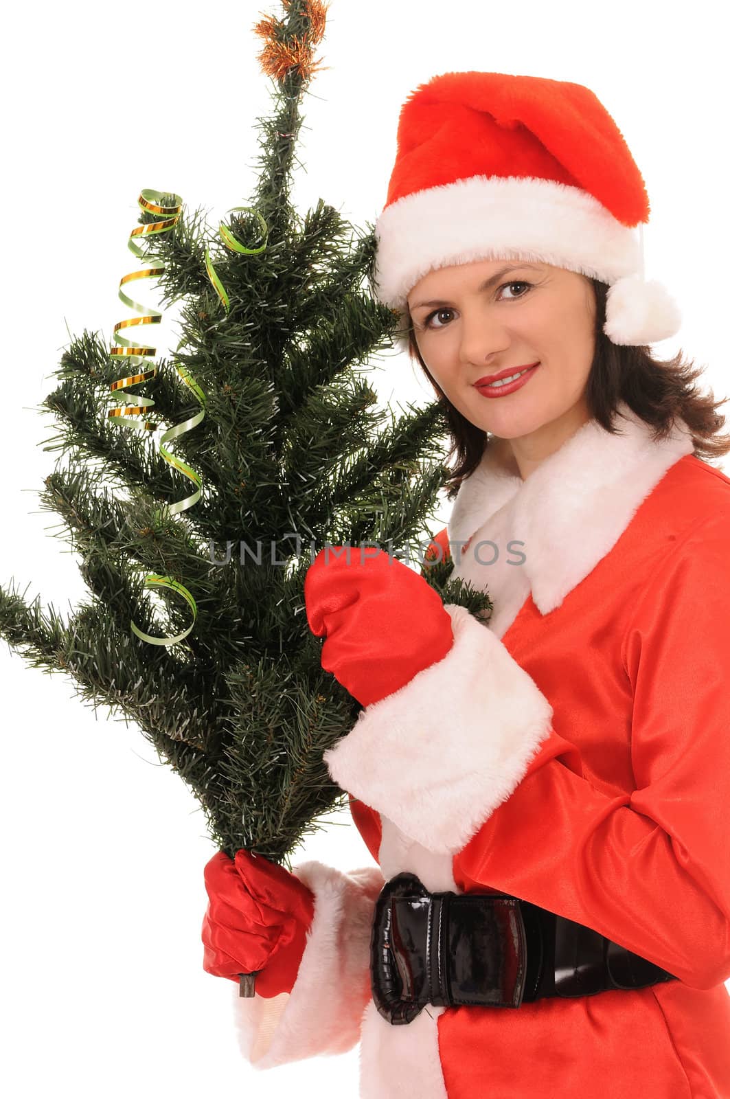 woman santa with christmas fir-tree isolated on white background