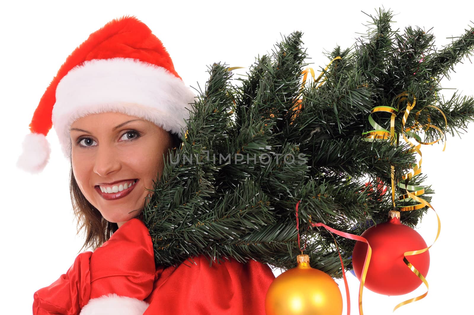 woman santa with christmas fir-tree isolated on white background