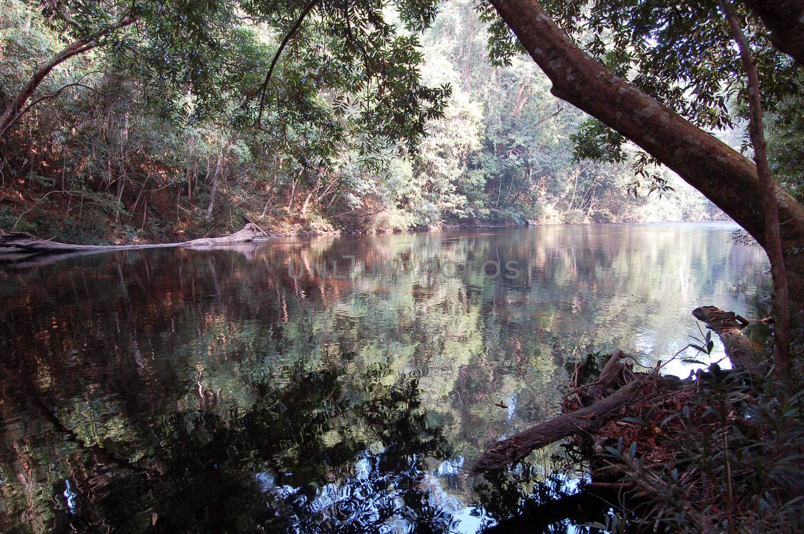 Water reflection by faberfoto