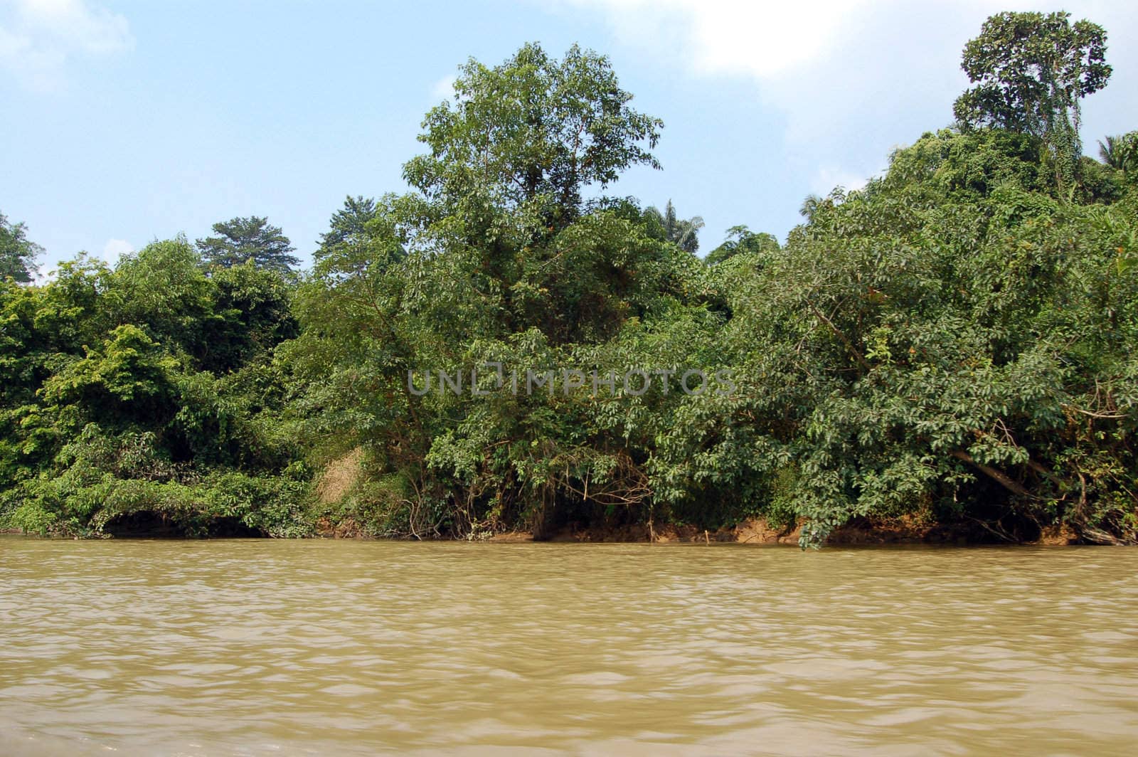 Taman Negara - River view by faberfoto