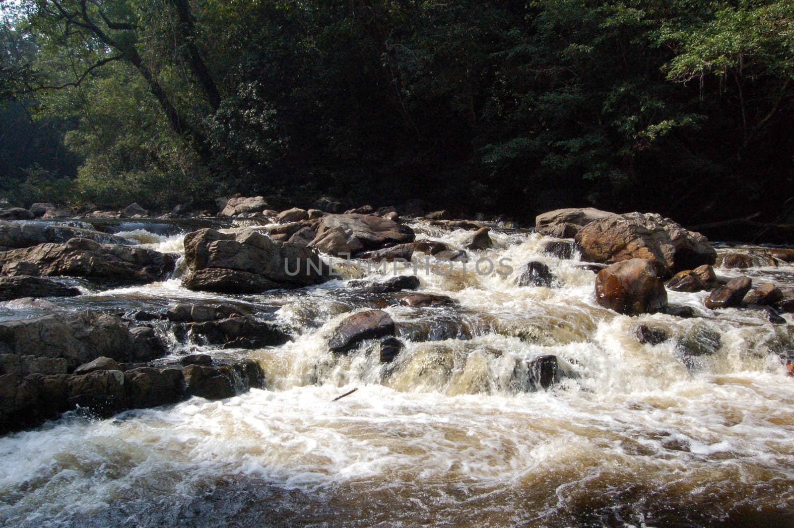 Waterfall - Taman Negara National Park - Best of Malaysia
