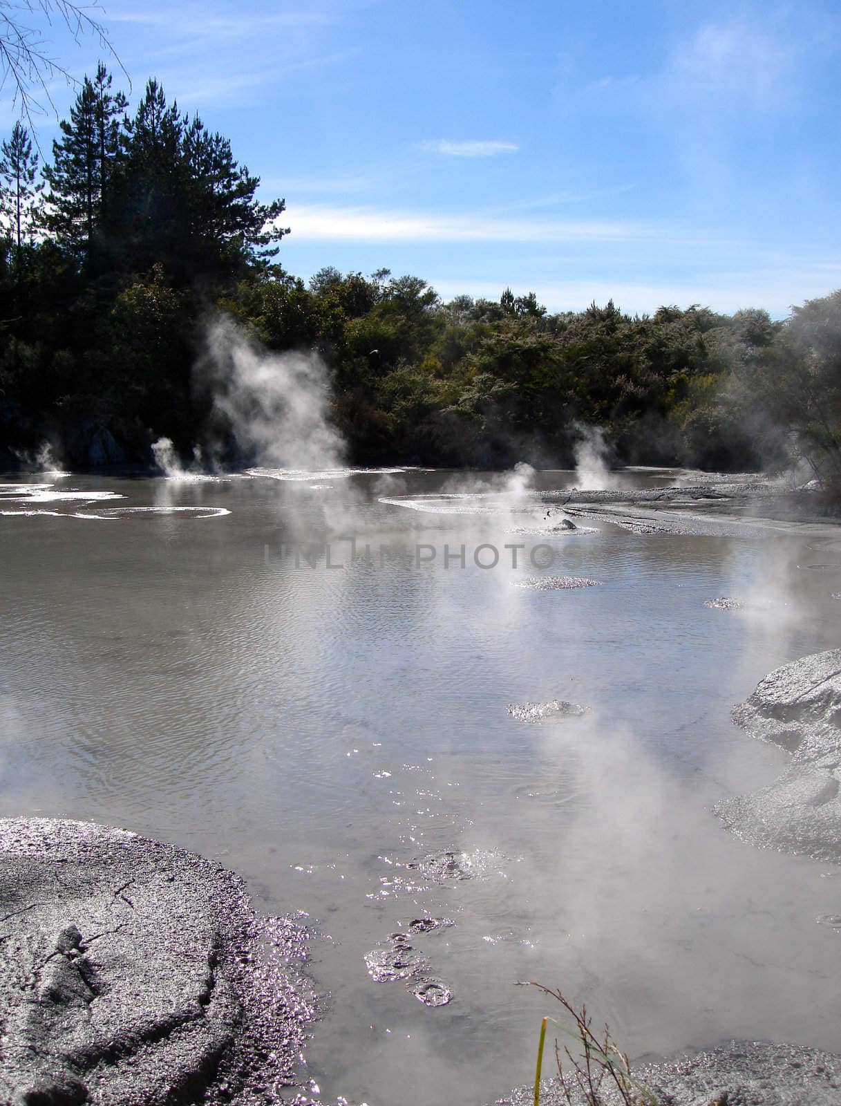 Geothermal Activity near Rotorua, New Zealand by Cloudia