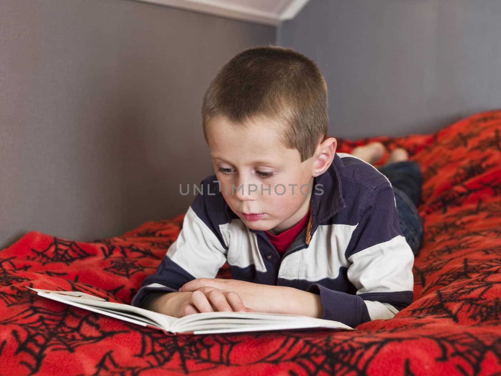 Young boy reding a book by gemenacom