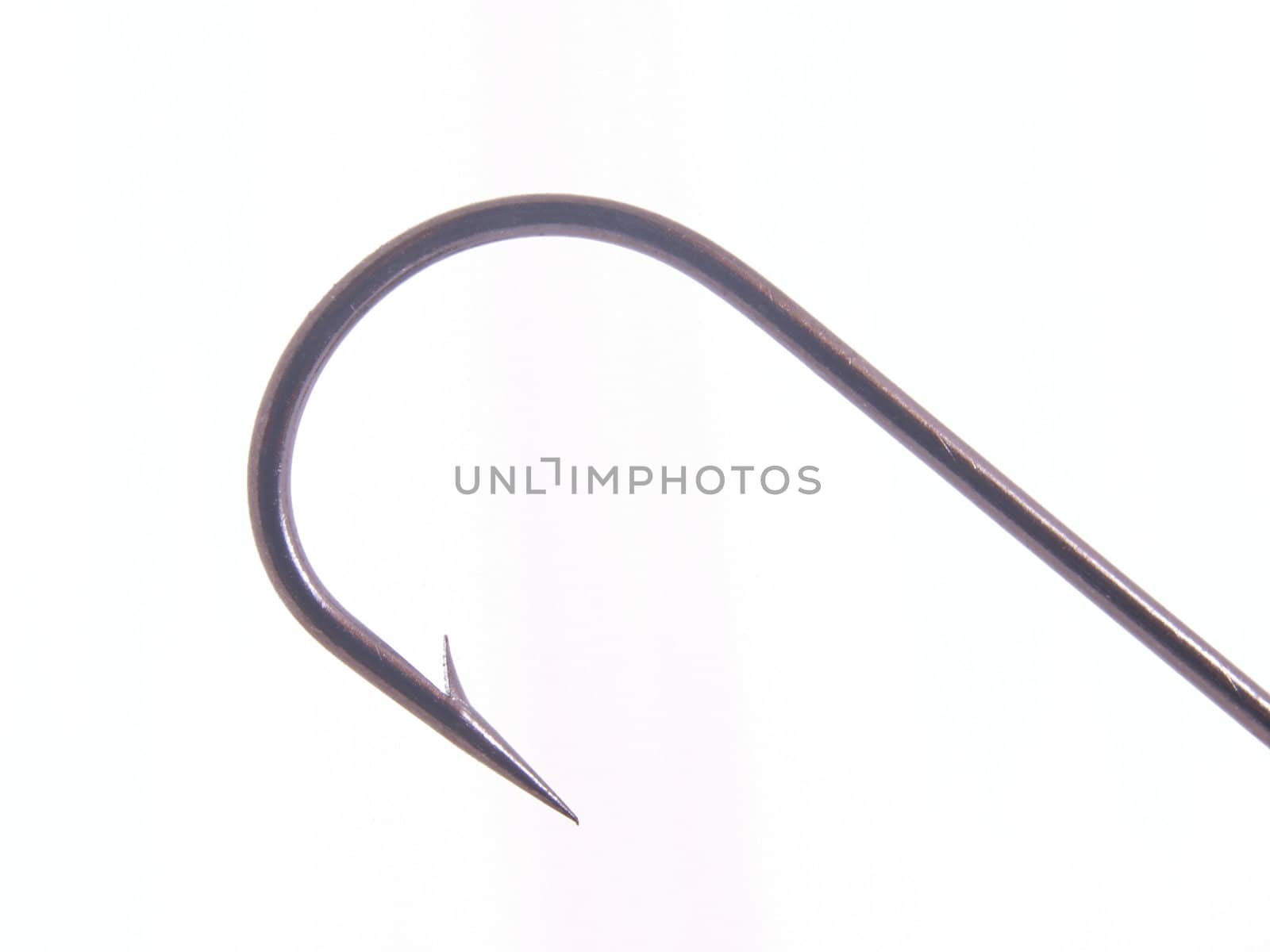 Fishing hook on a plain white background.