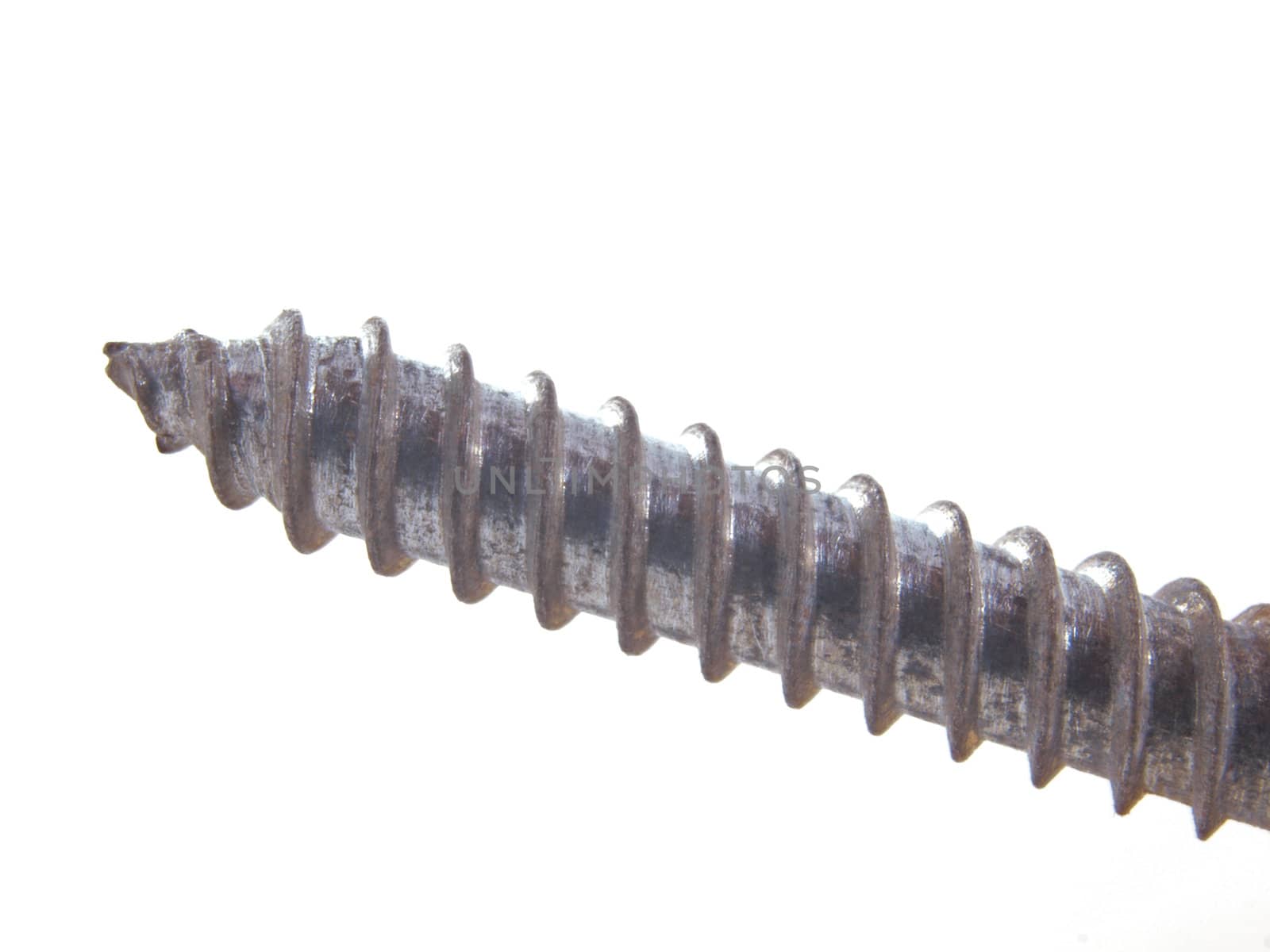 Chrome wood  screw on a plain white background.