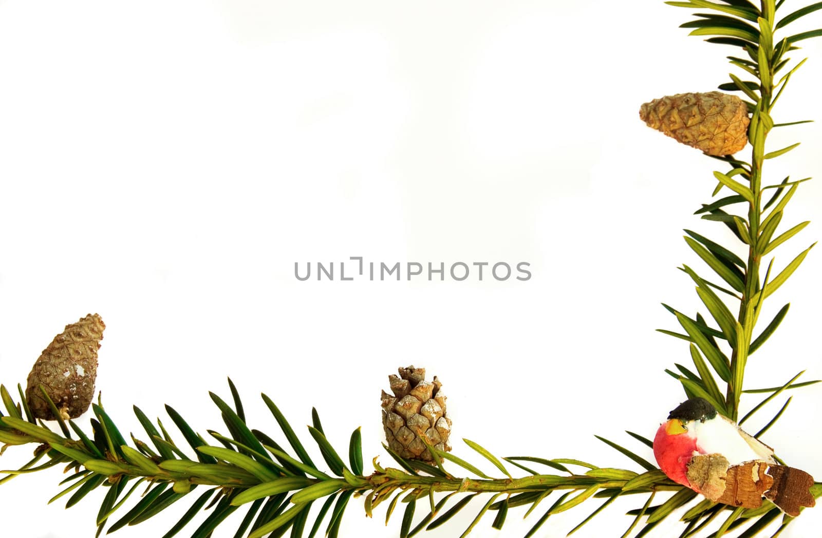 A simple frame made of pine branches and cones. isolated