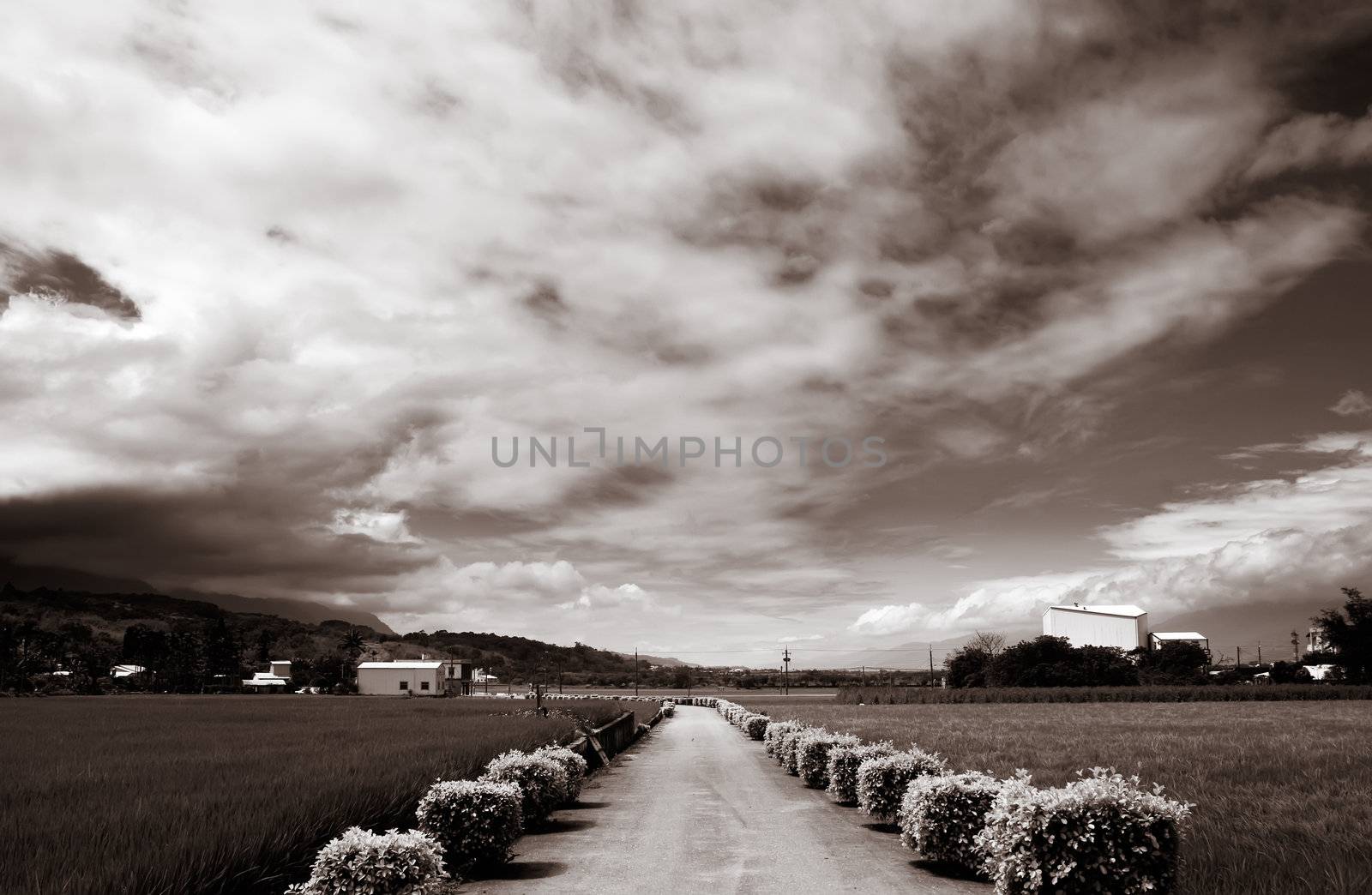 a road across the farm by elwynn