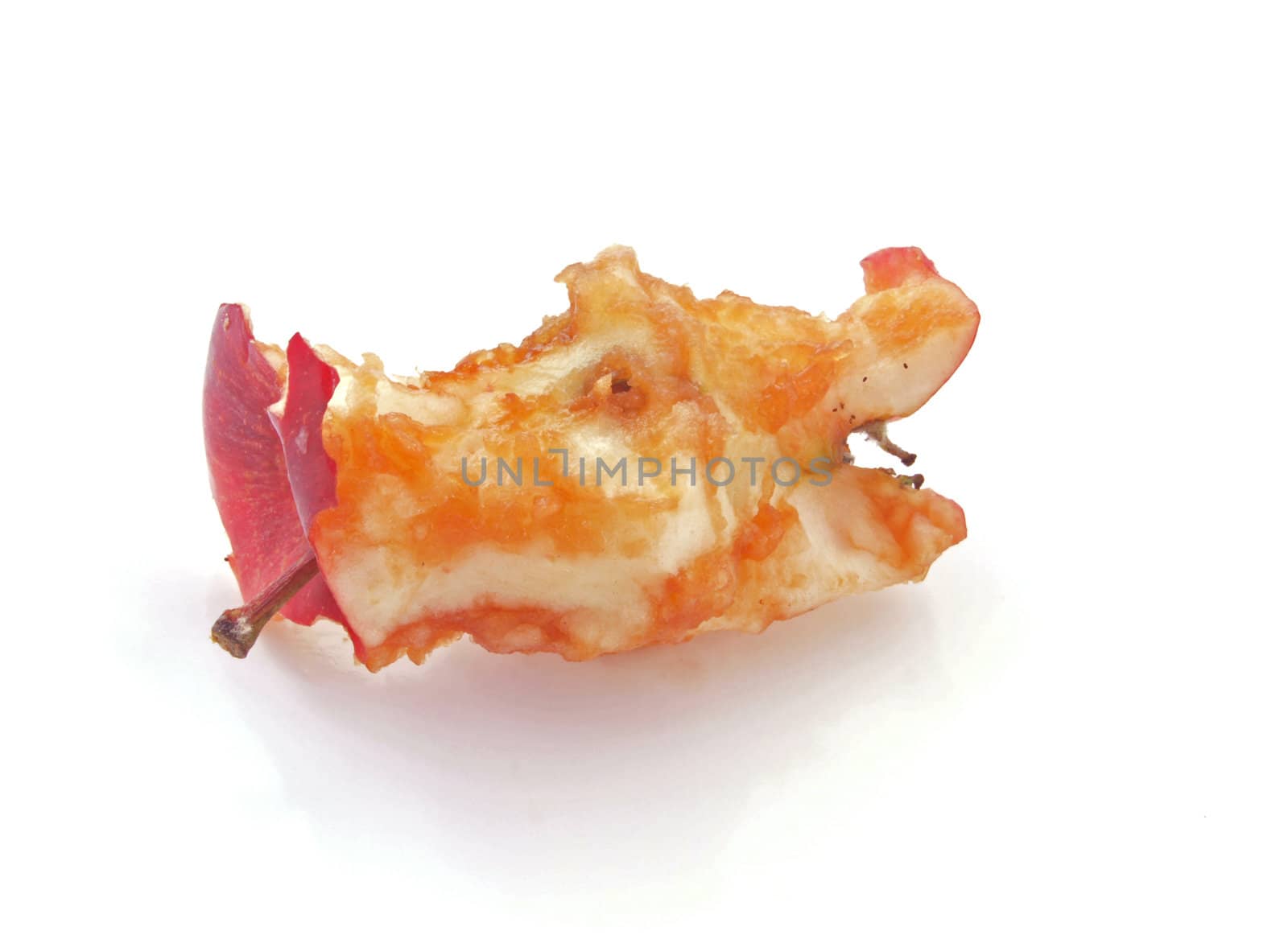 Apple core on a plain white background.