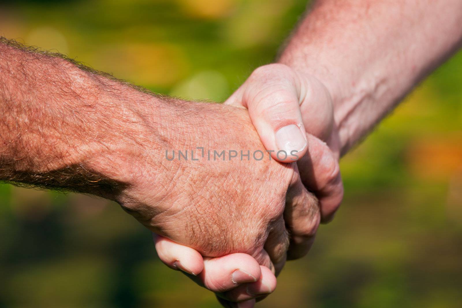 A closeup of a friendly handshake between two men