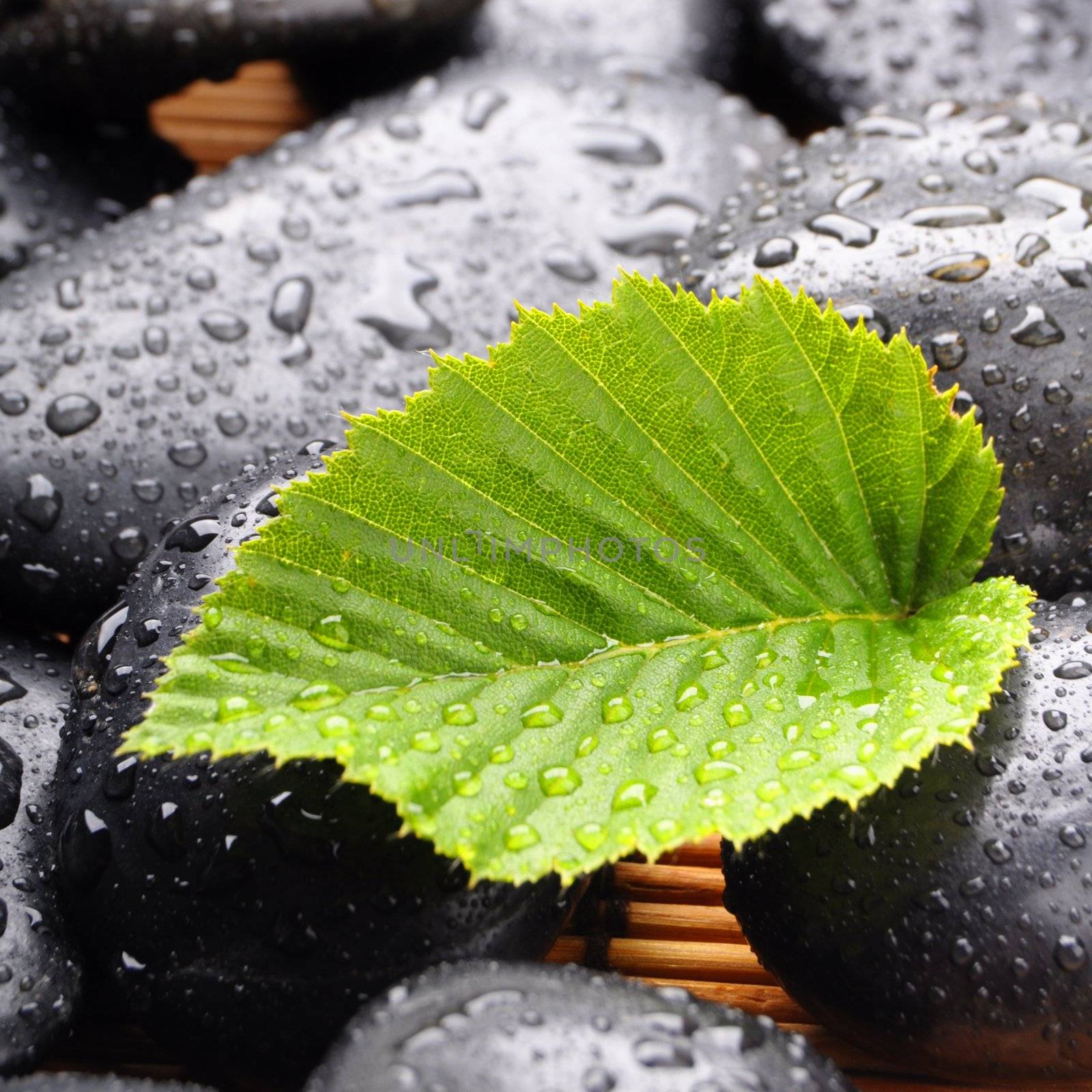 zen or spa stones with green leaf and water drops