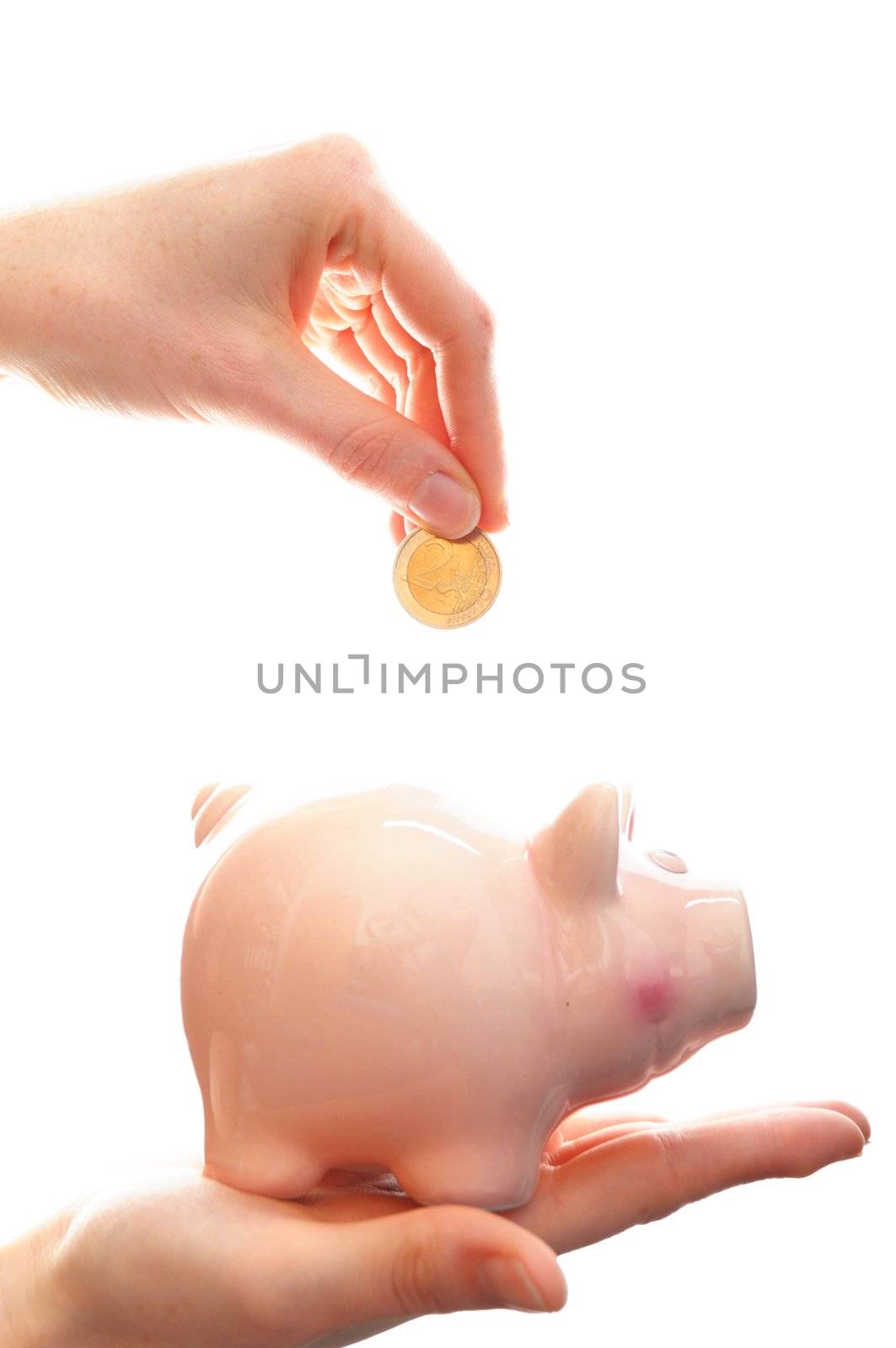 piggy bank or piggybank with hand isolated on white background showing savings concept
