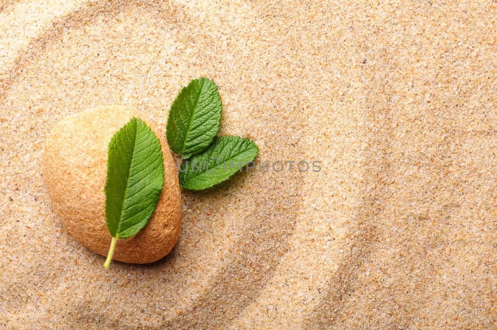 zen stone garden and leaf on sand showing spa concept