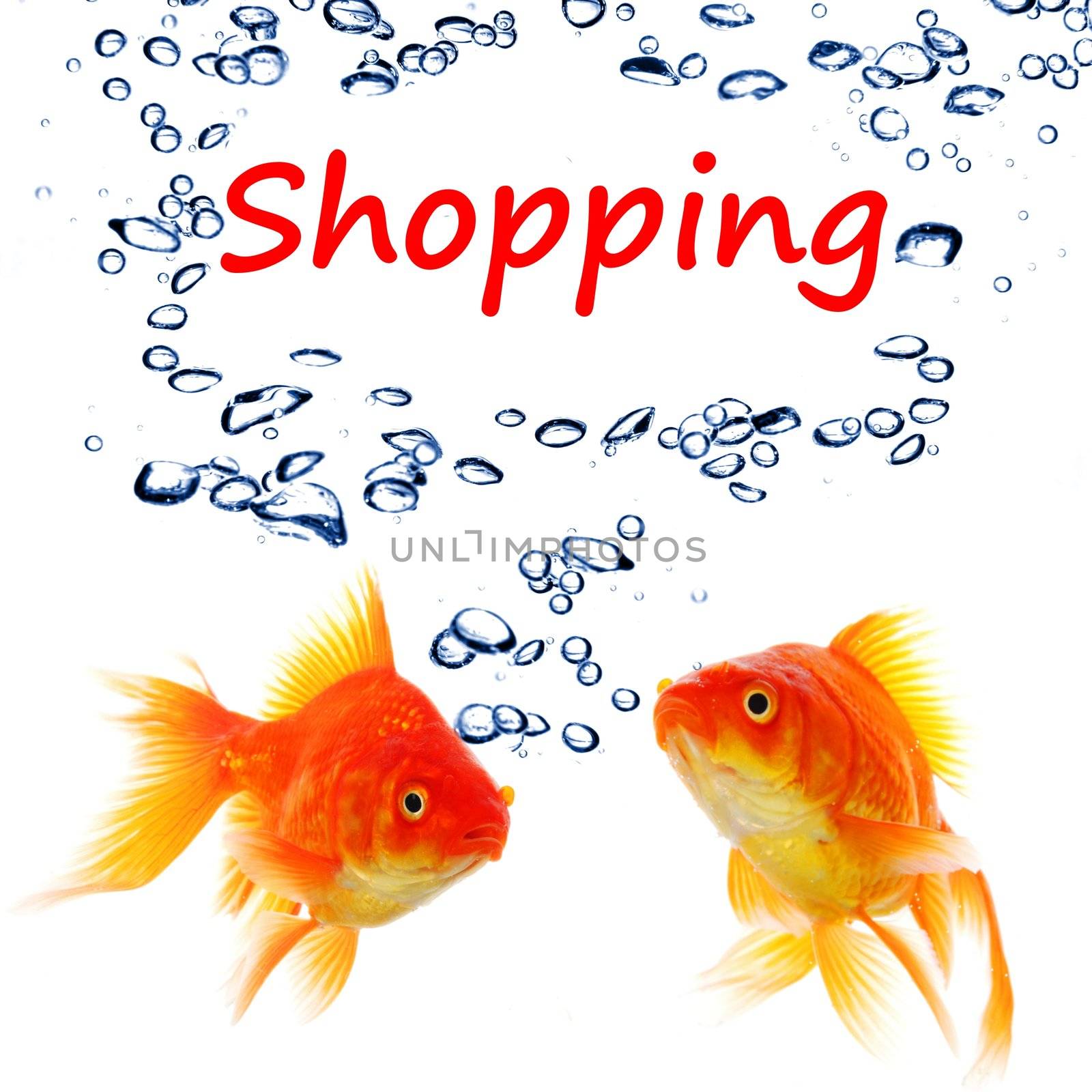 shopping or shop concept with word and goldfish