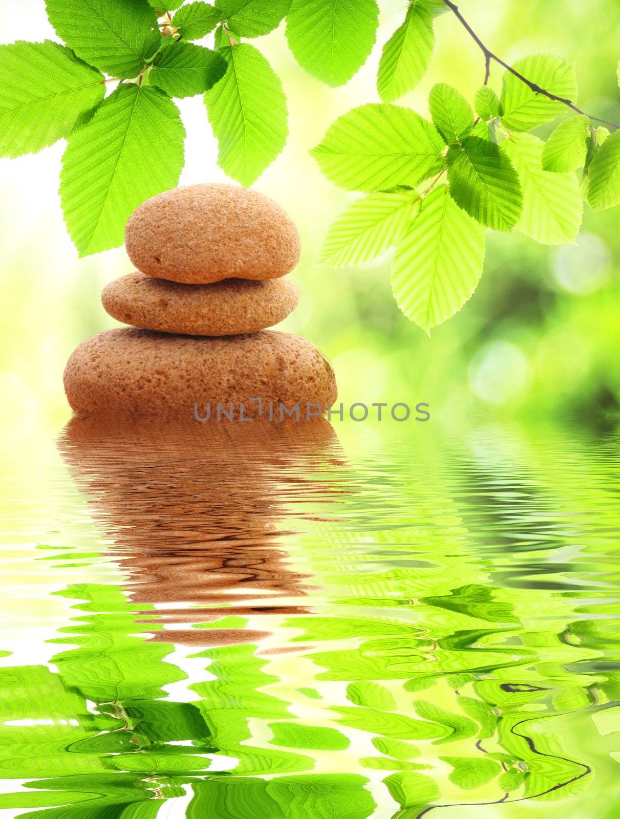 zen or spa concept with stone leaf and water reflection