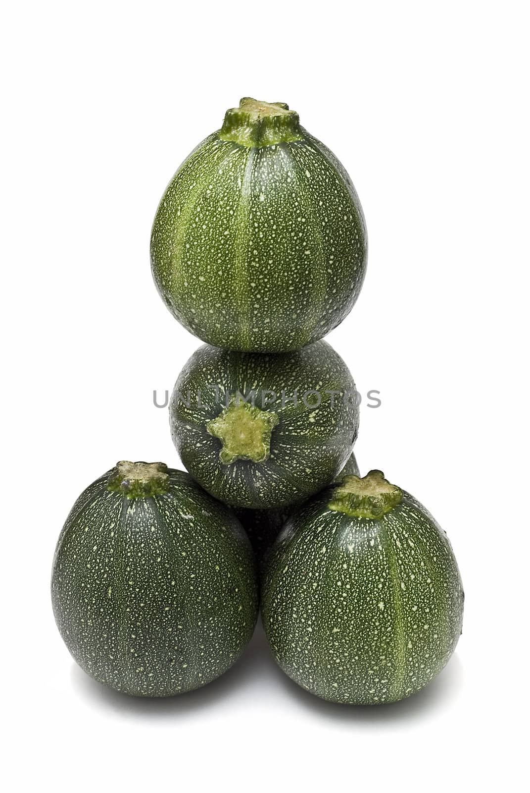 Round zucchini isolated on a white background.