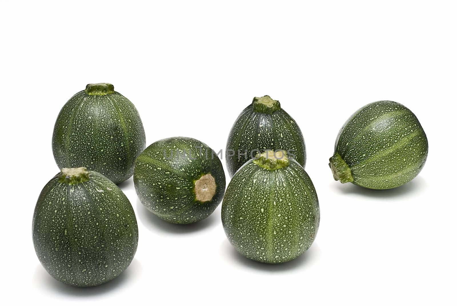 Round zucchini isolated on a white background.