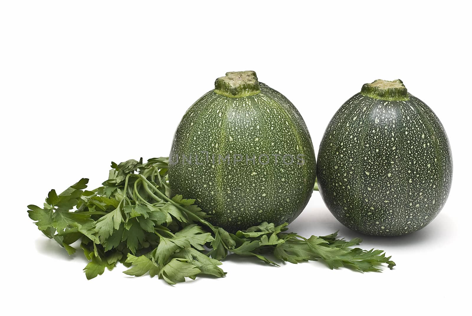 Round zucchini isolated on a white background.