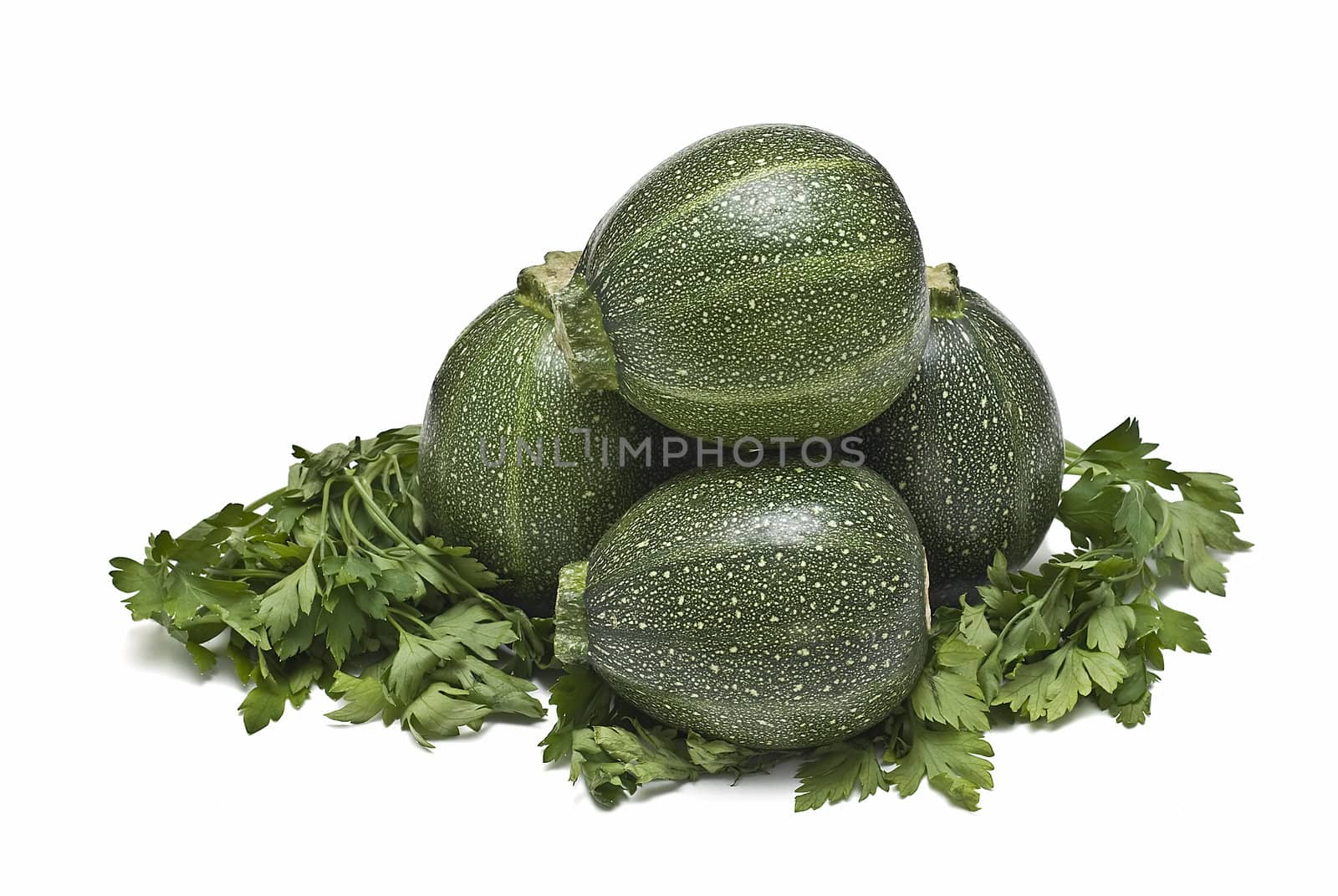 Round zucchini isolated on a white background.