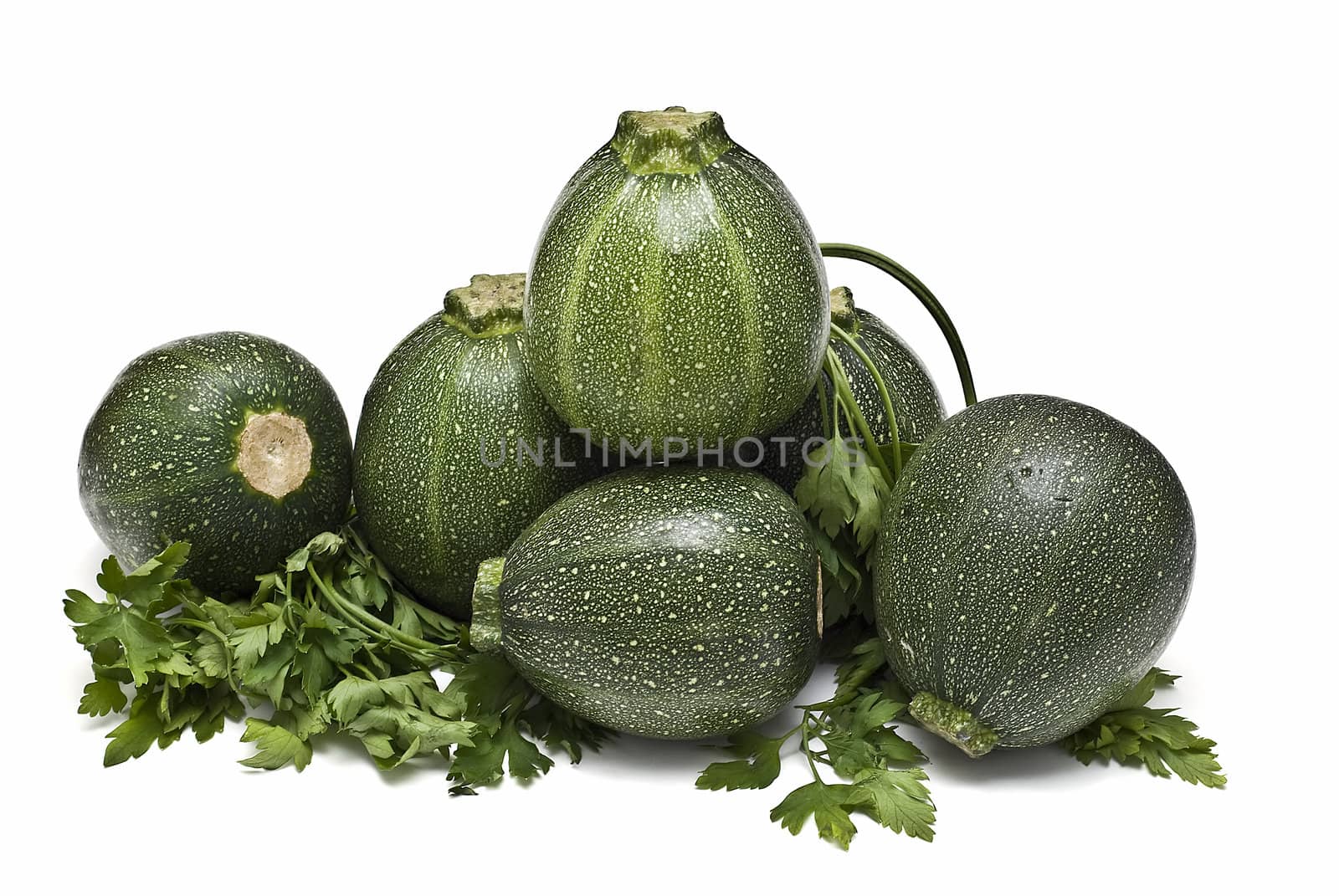 Round zucchini isolated on a white background.