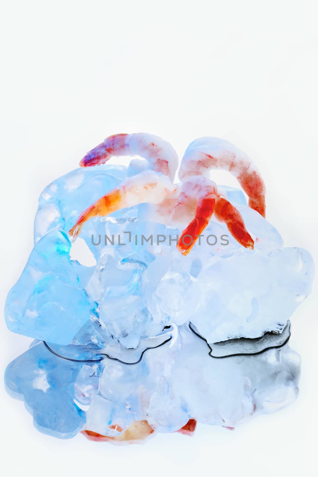 Frozen Shrimps by styf22