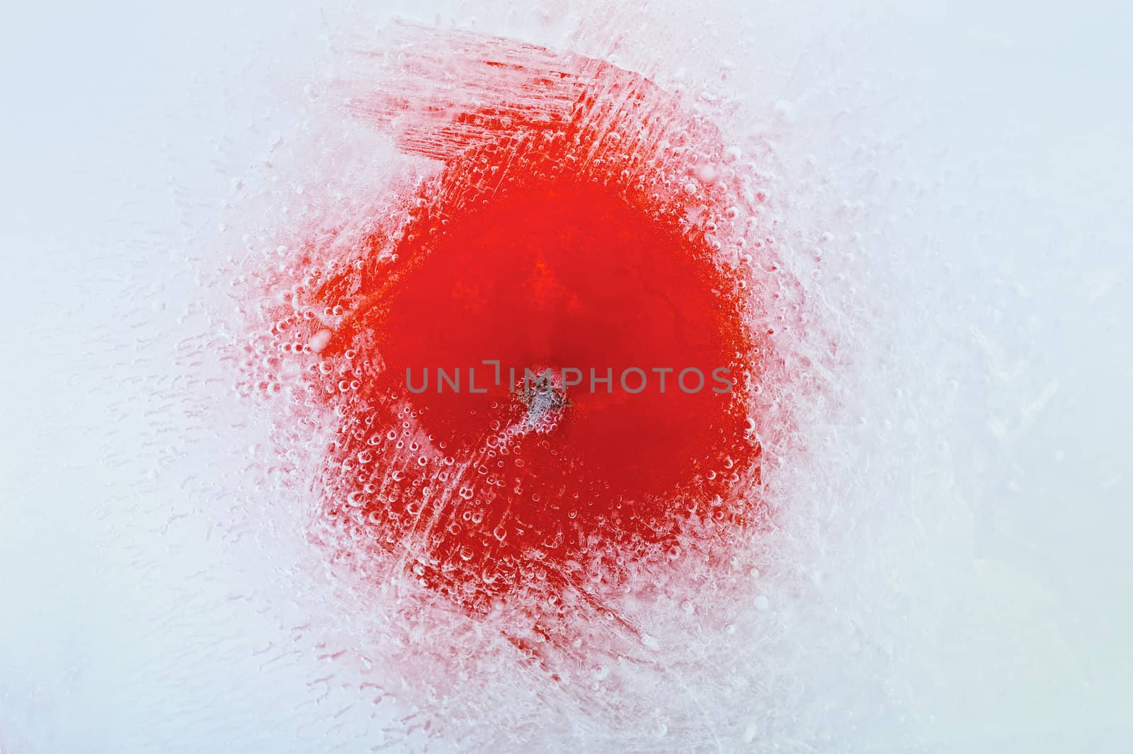Tomato frozen in ice cube, isolated on white background