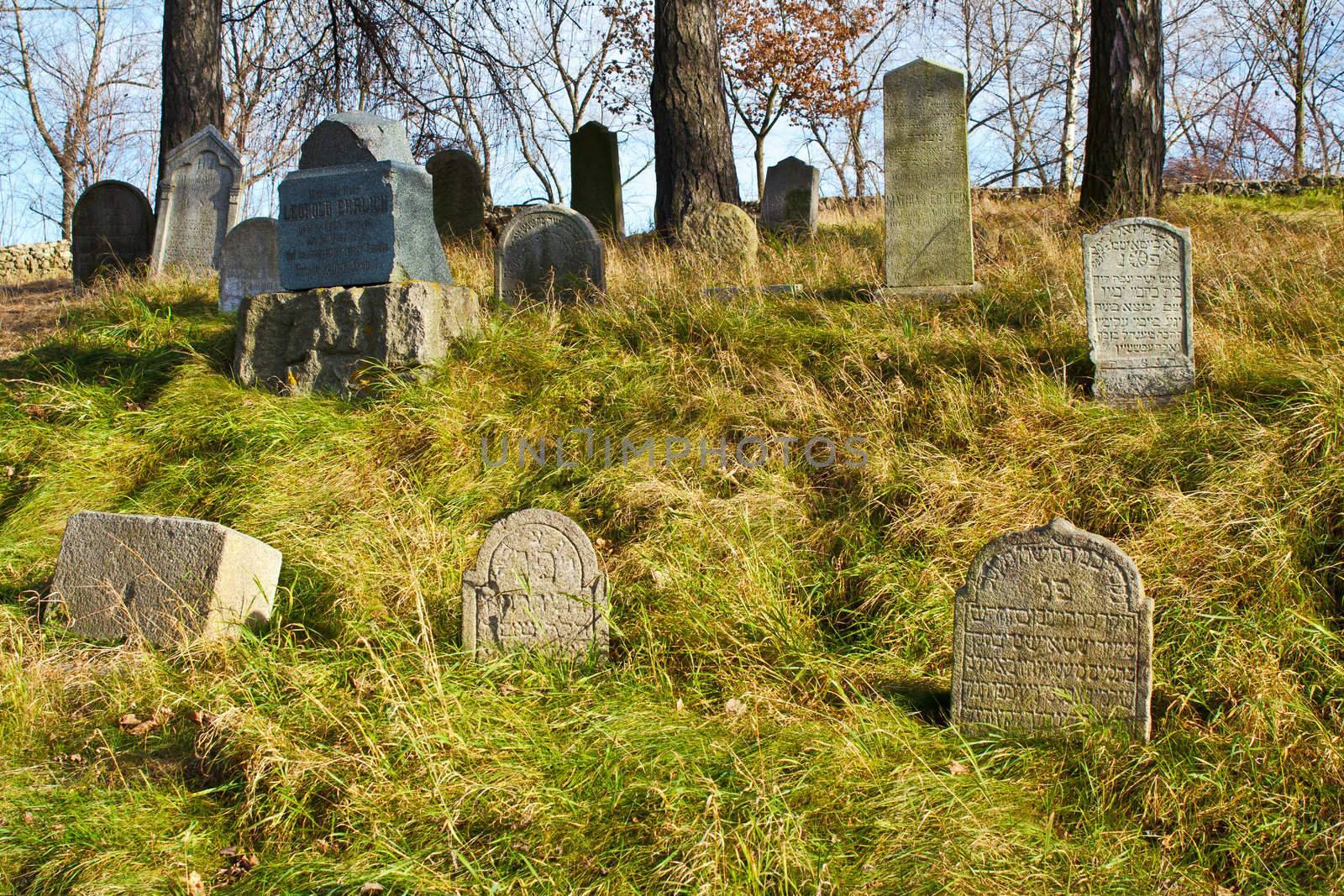 forgotten and unkempt Jewish cemetery with the strangers