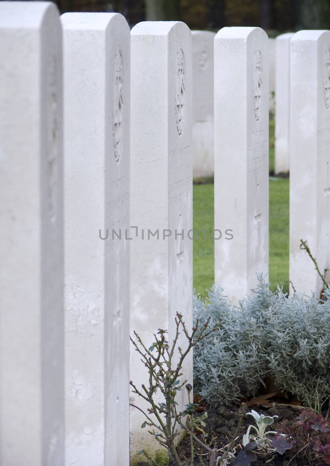 Military Cemetery of the second worldwar in Belgium