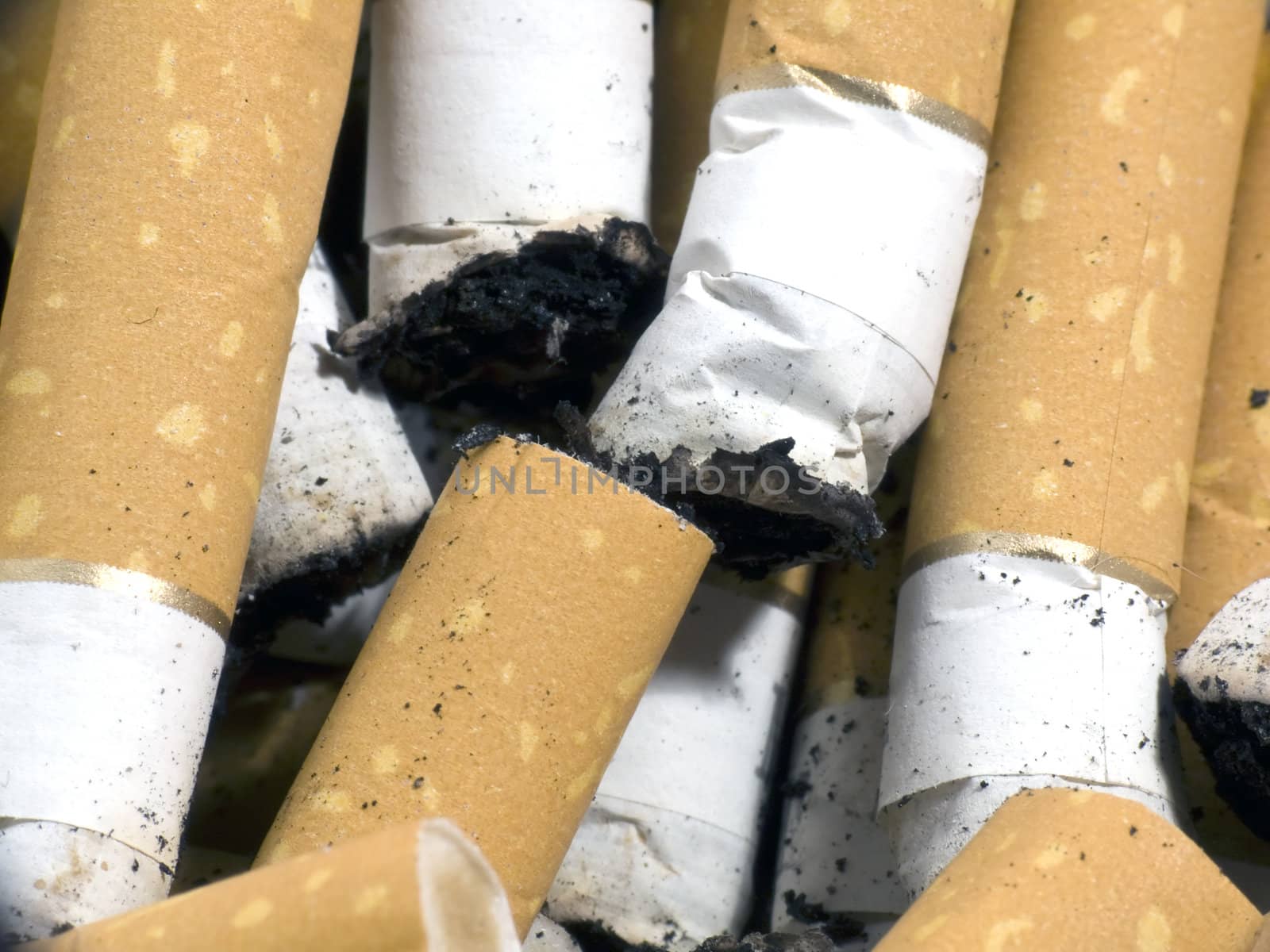 Closeup of cigarette butts