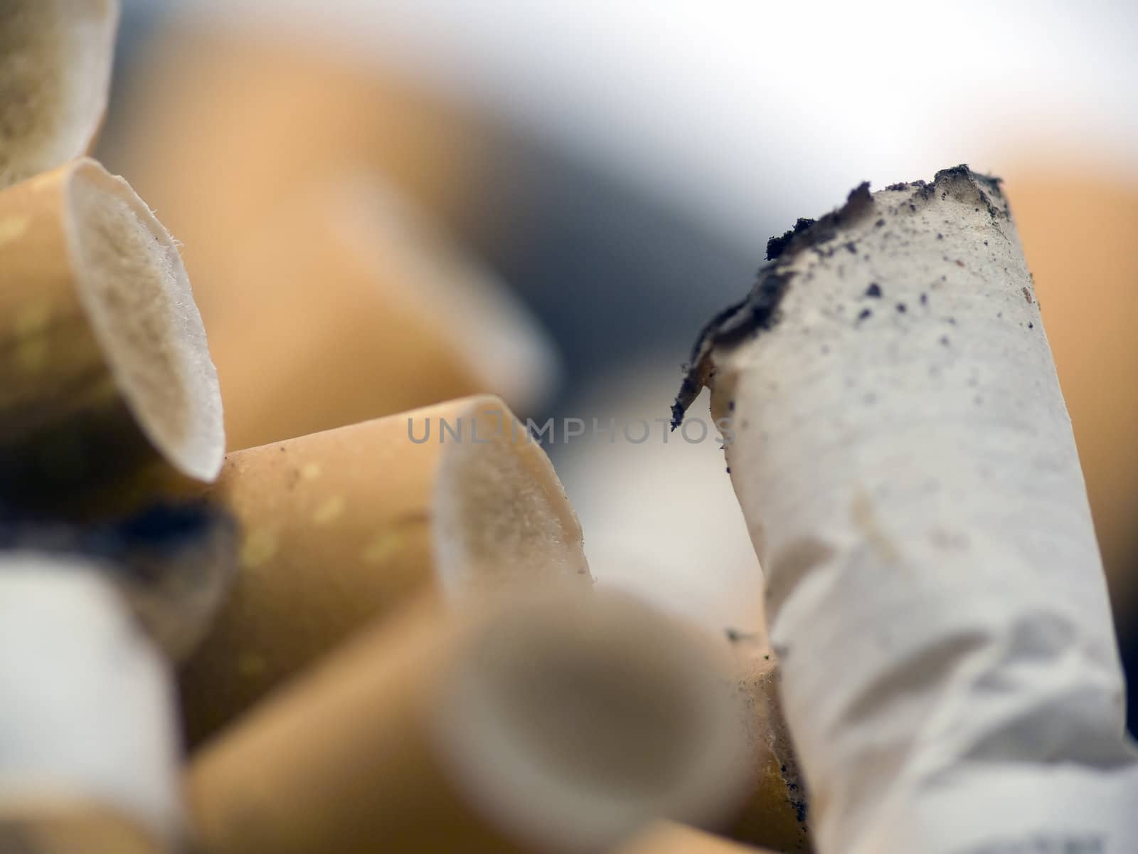 Closeup of cigarette butts