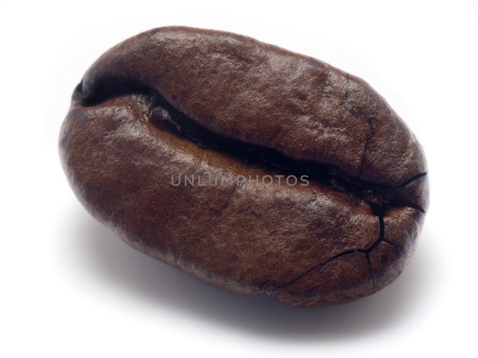 Closeup of a single coffee bean